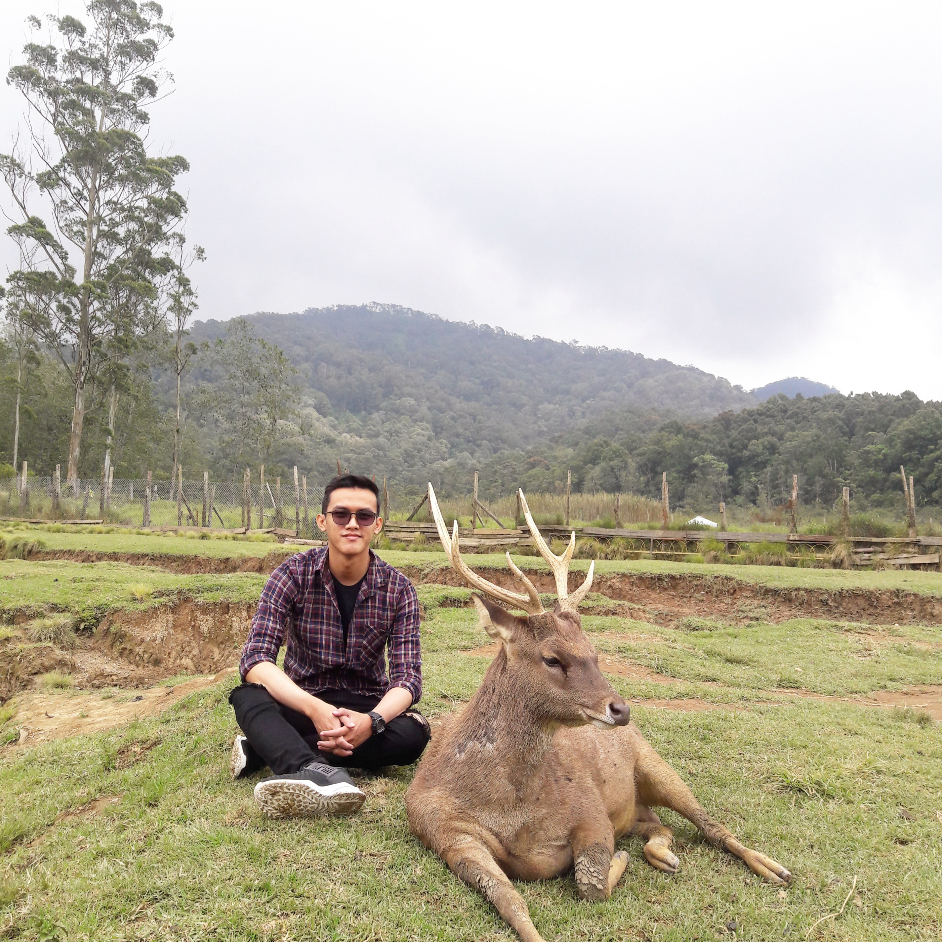 Jejak Suara