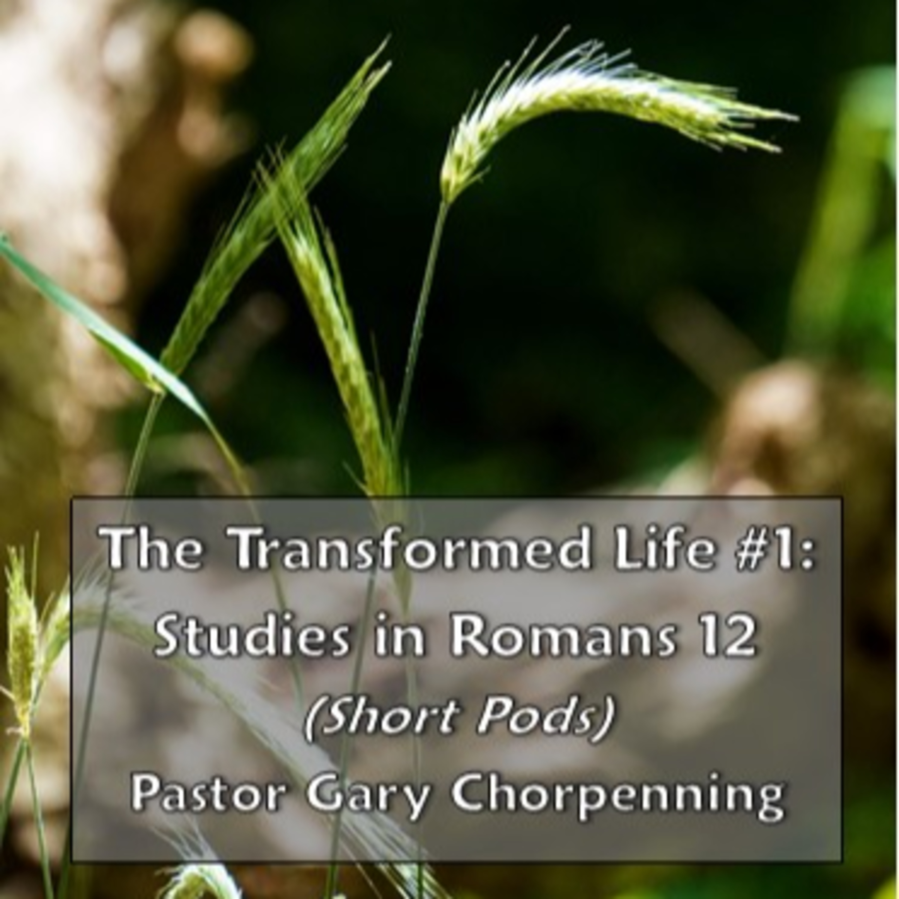 Pastor Gary\'s Audio Notebooks