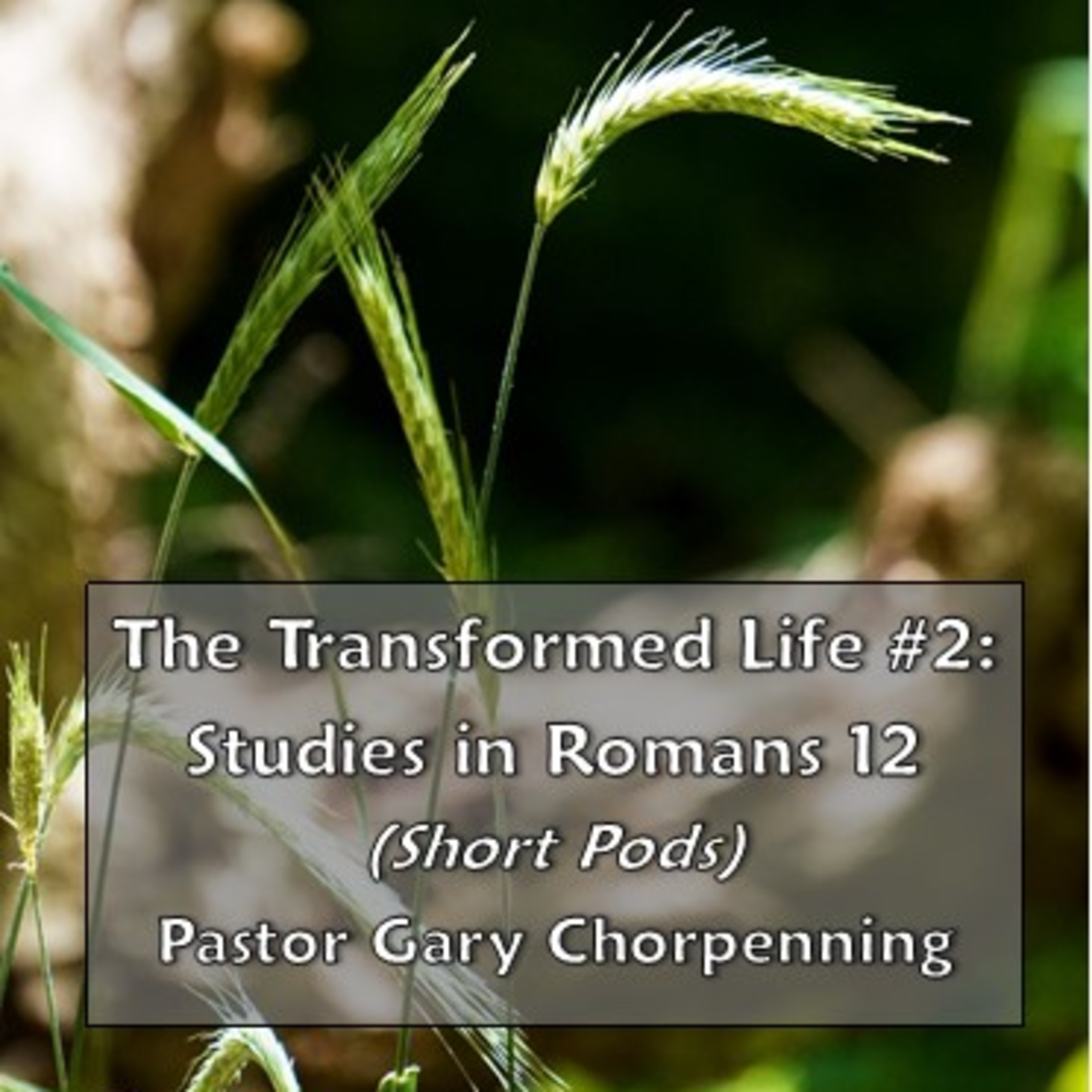 Pastor Gary\'s Audio Notebooks