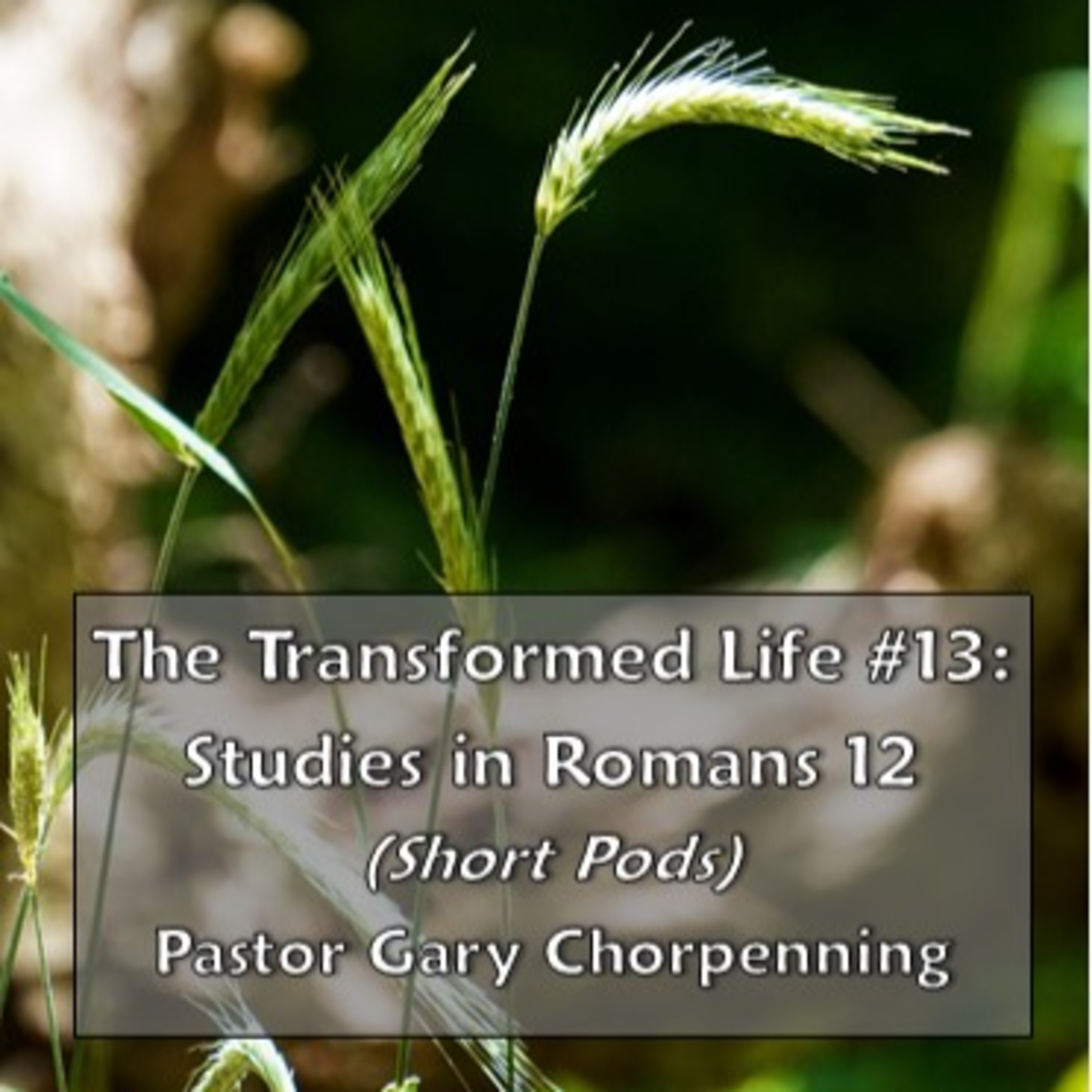 Pastor Gary\'s Audio Notebooks