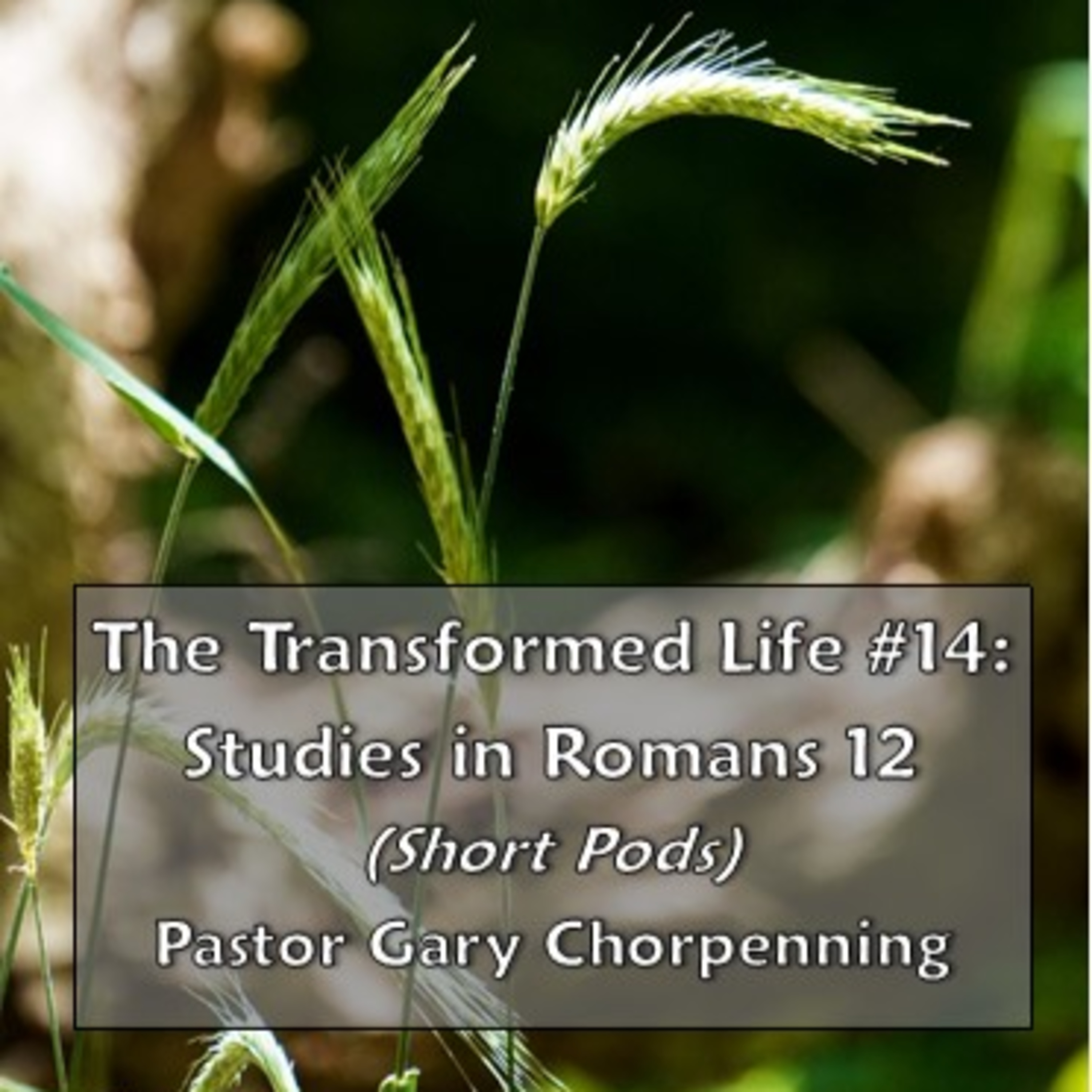 Pastor Gary\'s Audio Notebooks