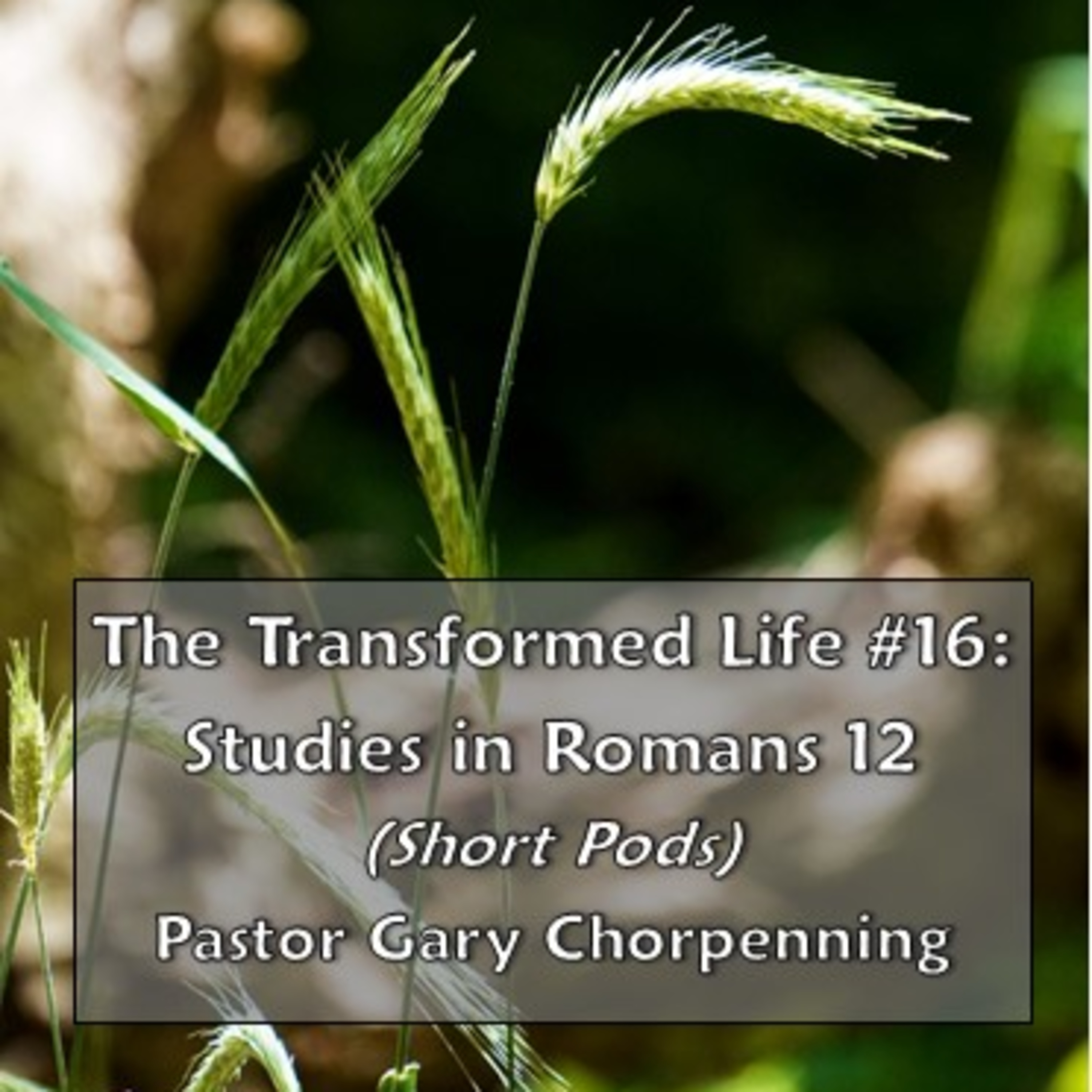 Pastor Gary\'s Audio Notebooks
