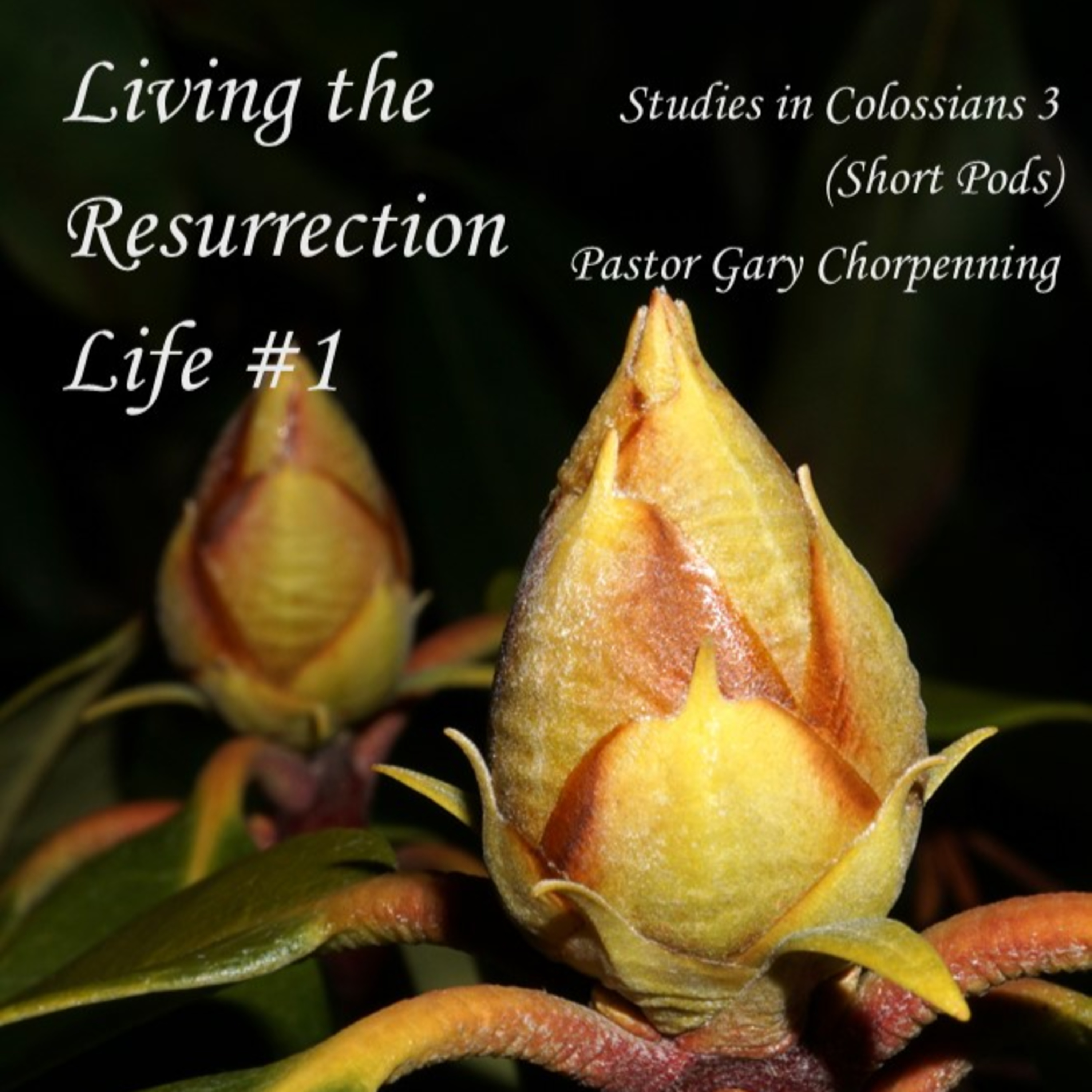 Pastor Gary\'s Audio Notebooks