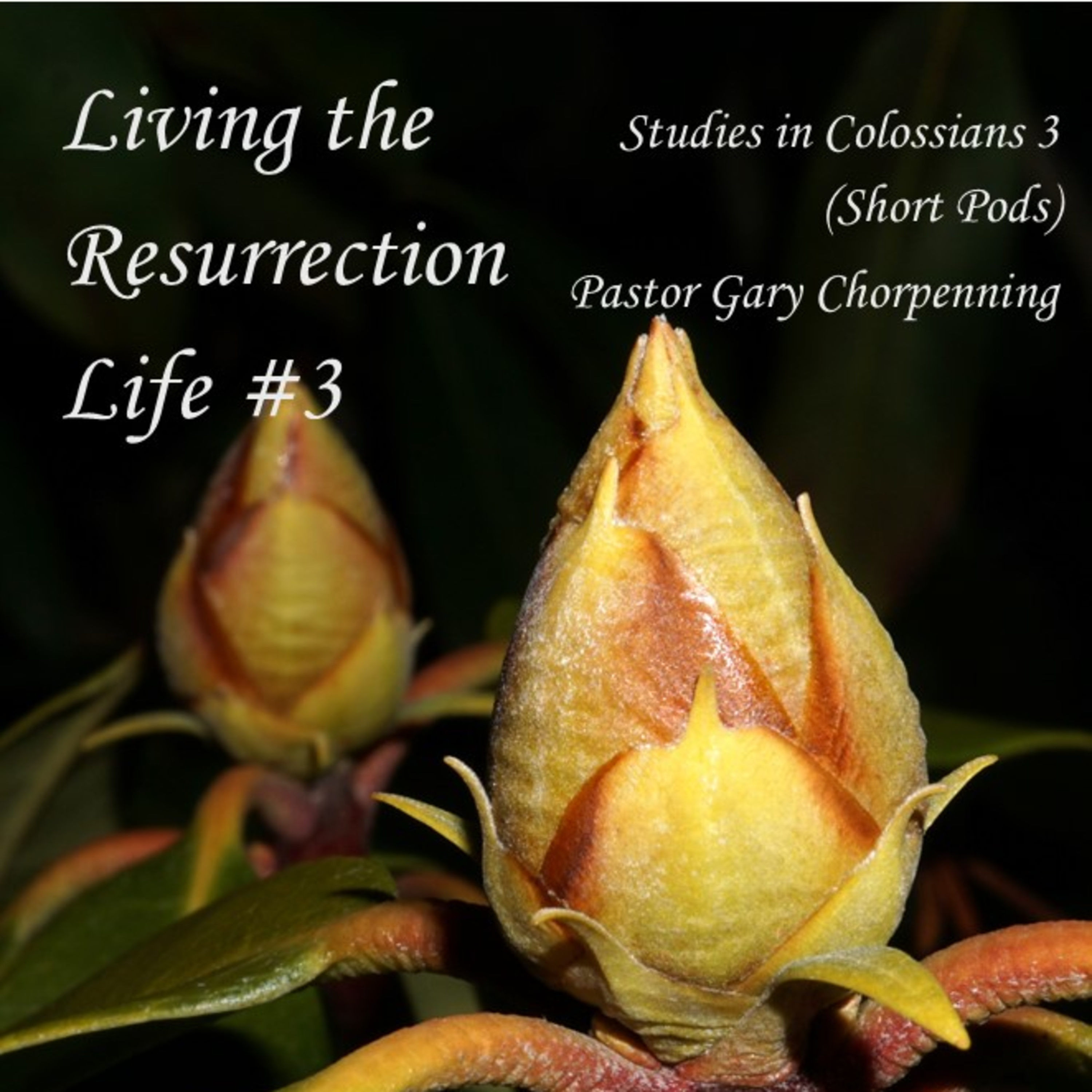 Pastor Gary\'s Audio Notebooks