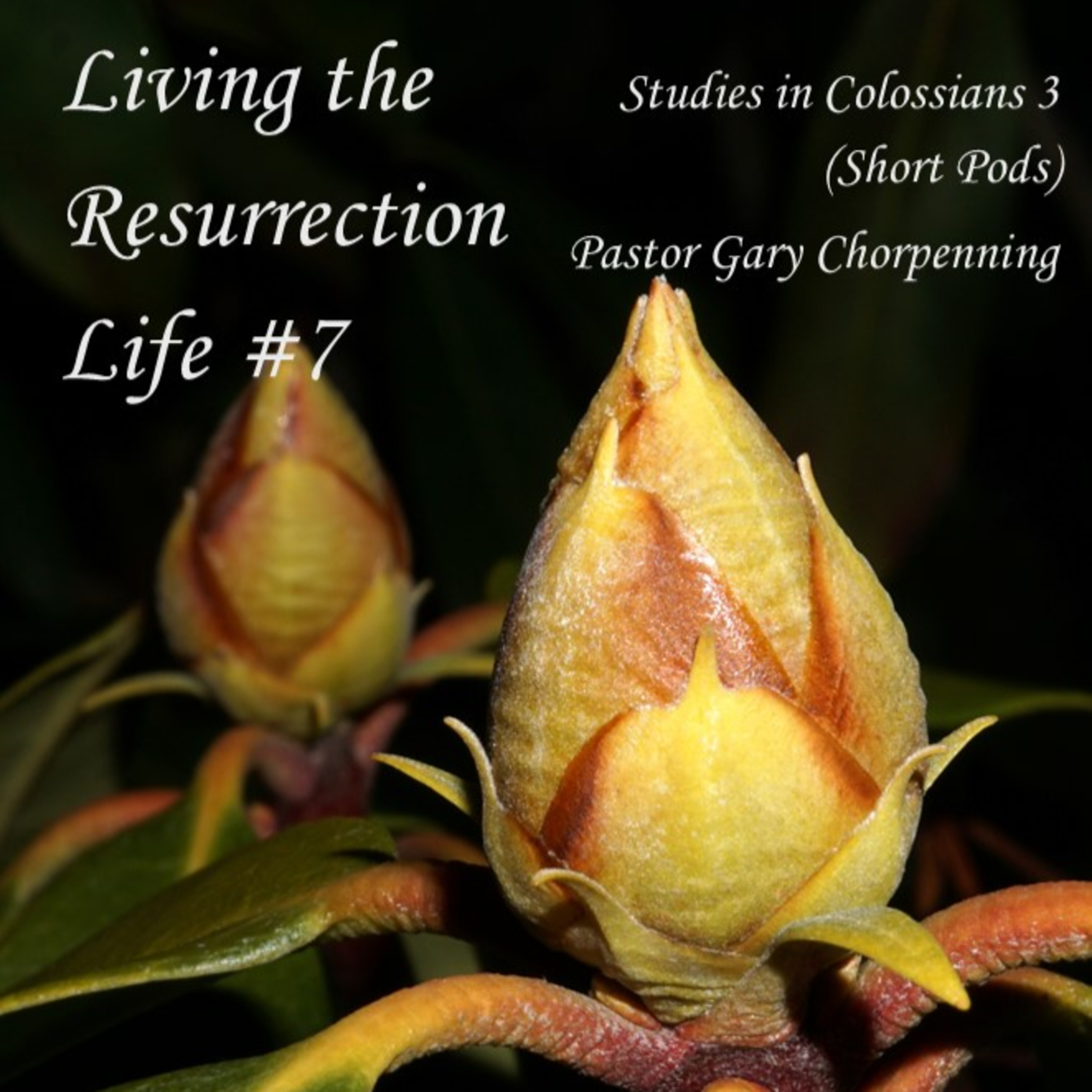 Pastor Gary\'s Audio Notebooks