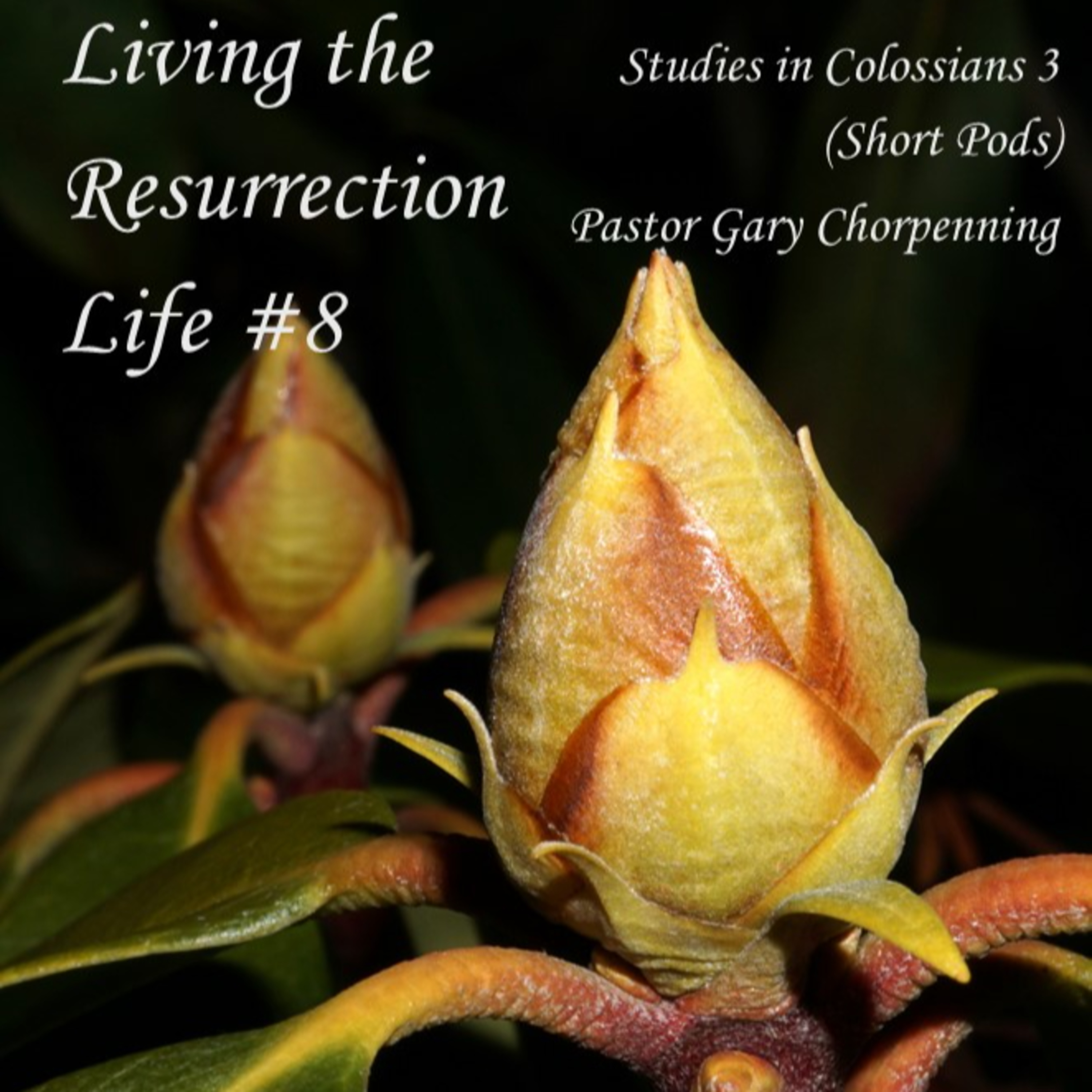 Pastor Gary\'s Audio Notebooks