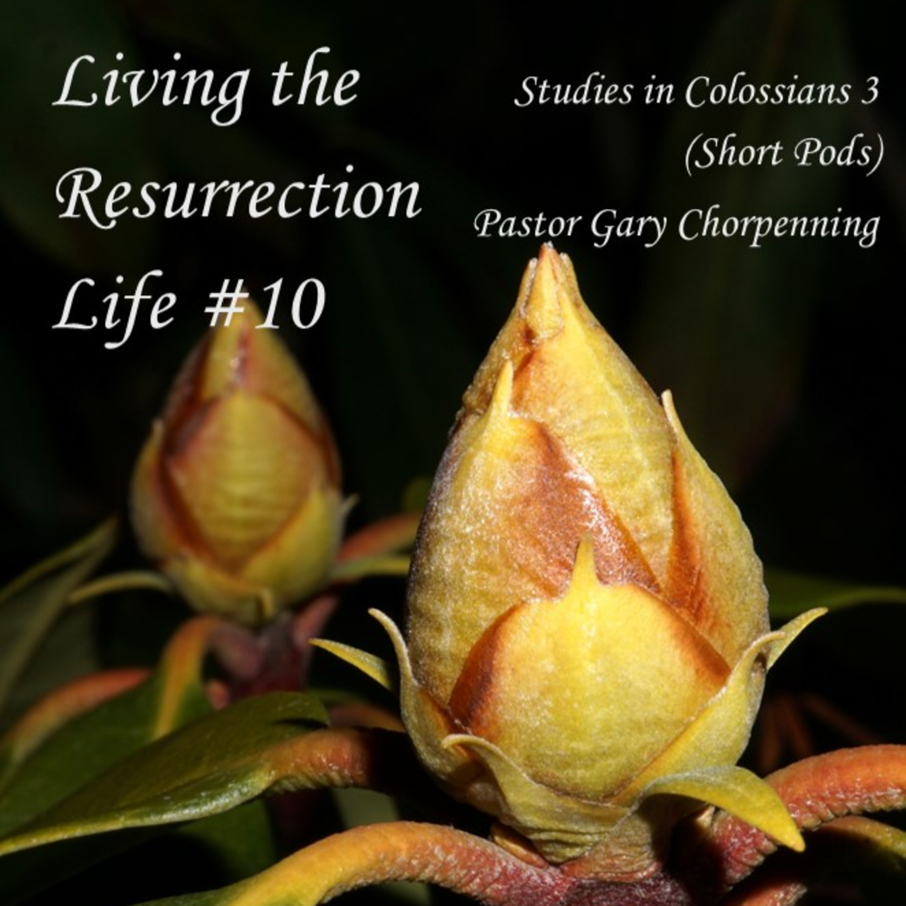 Pastor Gary\'s Audio Notebooks