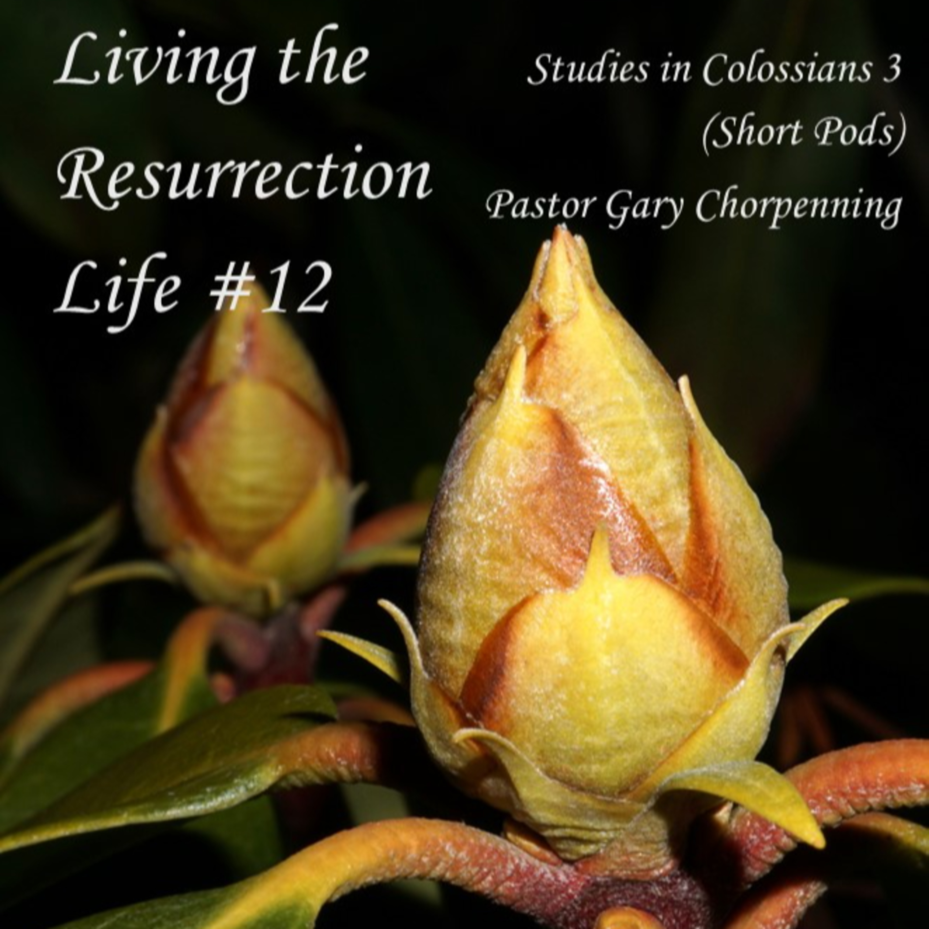 Pastor Gary\'s Audio Notebooks