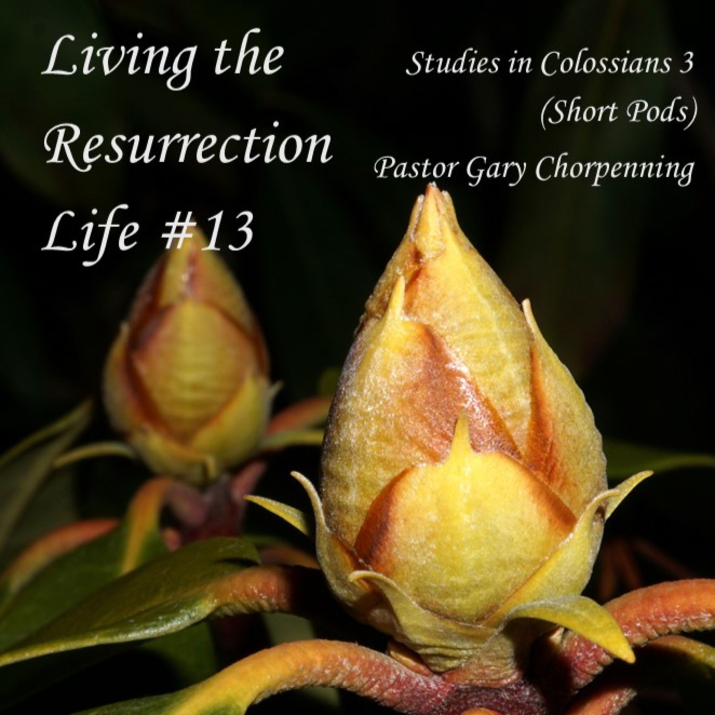 Pastor Gary\'s Audio Notebooks
