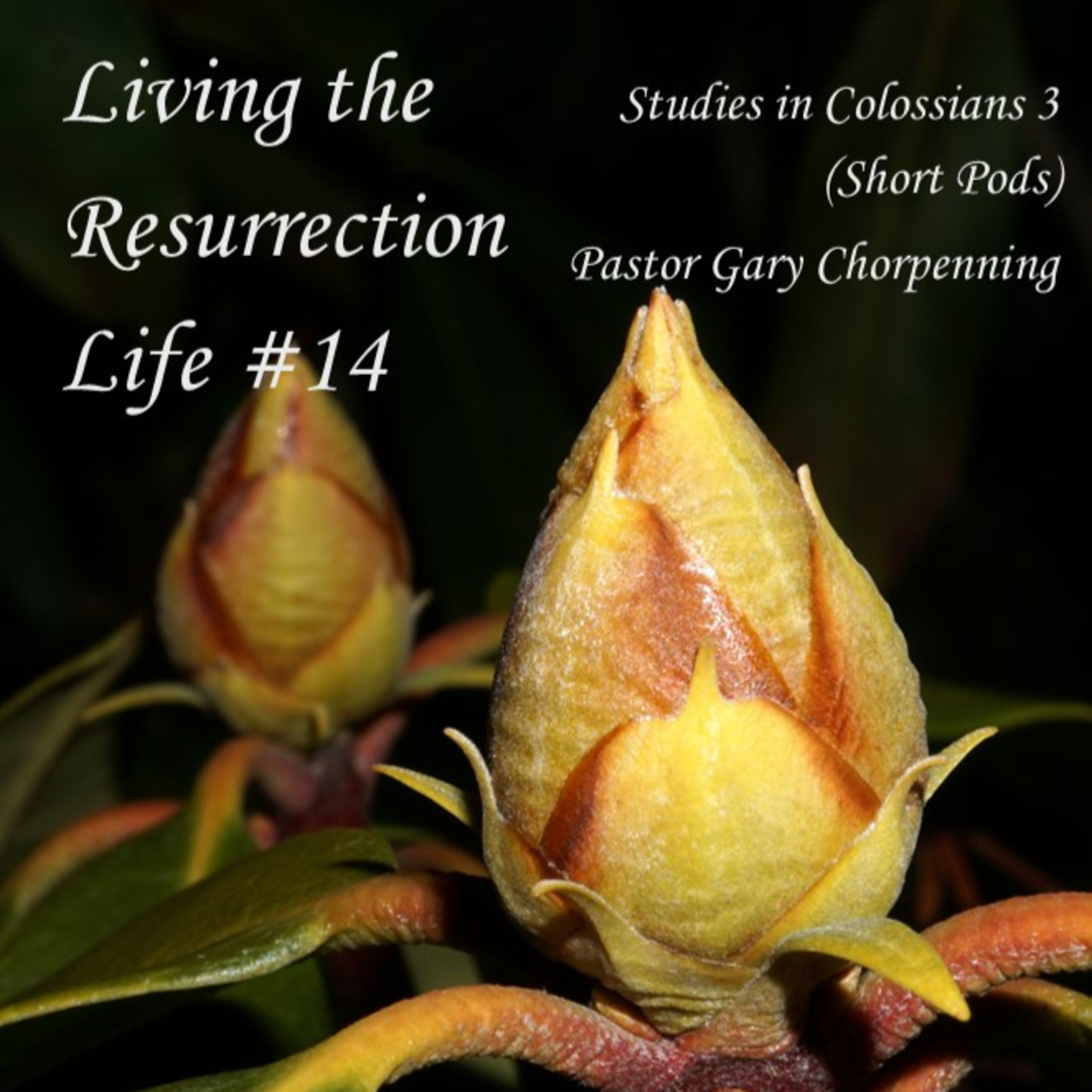 Pastor Gary\'s Audio Notebooks