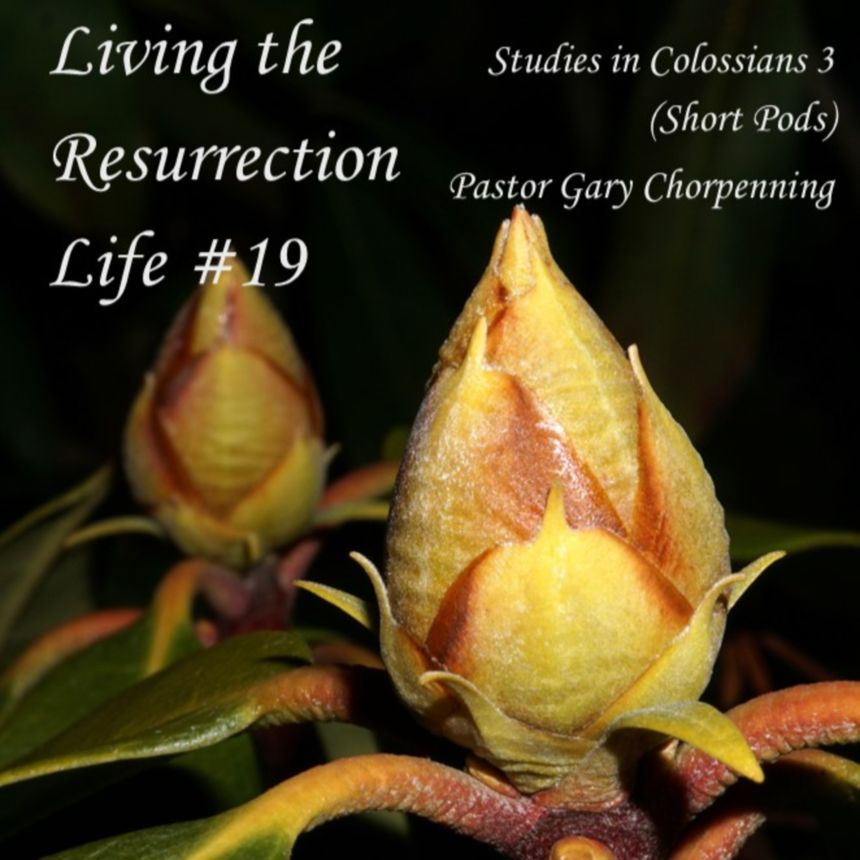 Pastor Gary\'s Audio Notebooks