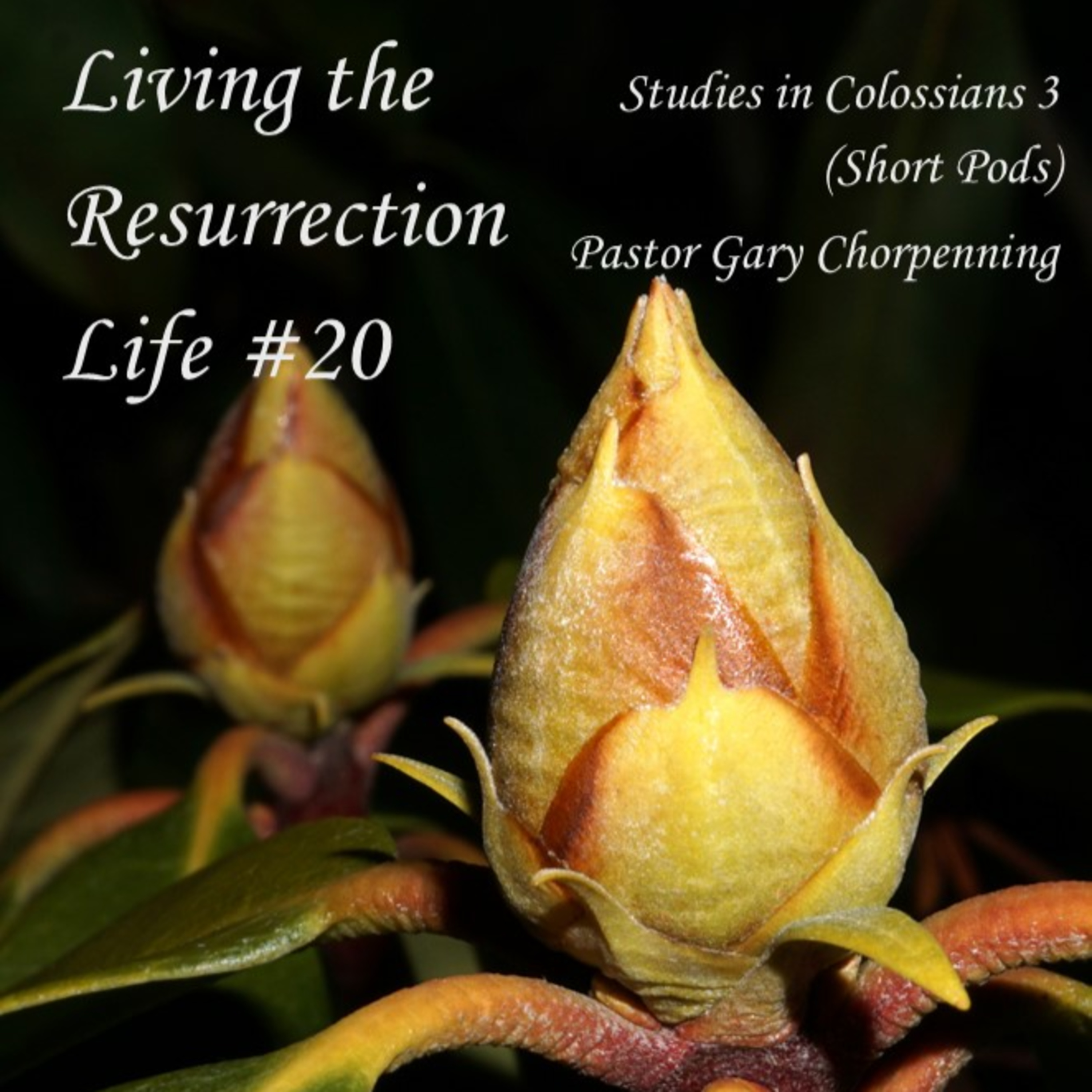 Pastor Gary\'s Audio Notebooks