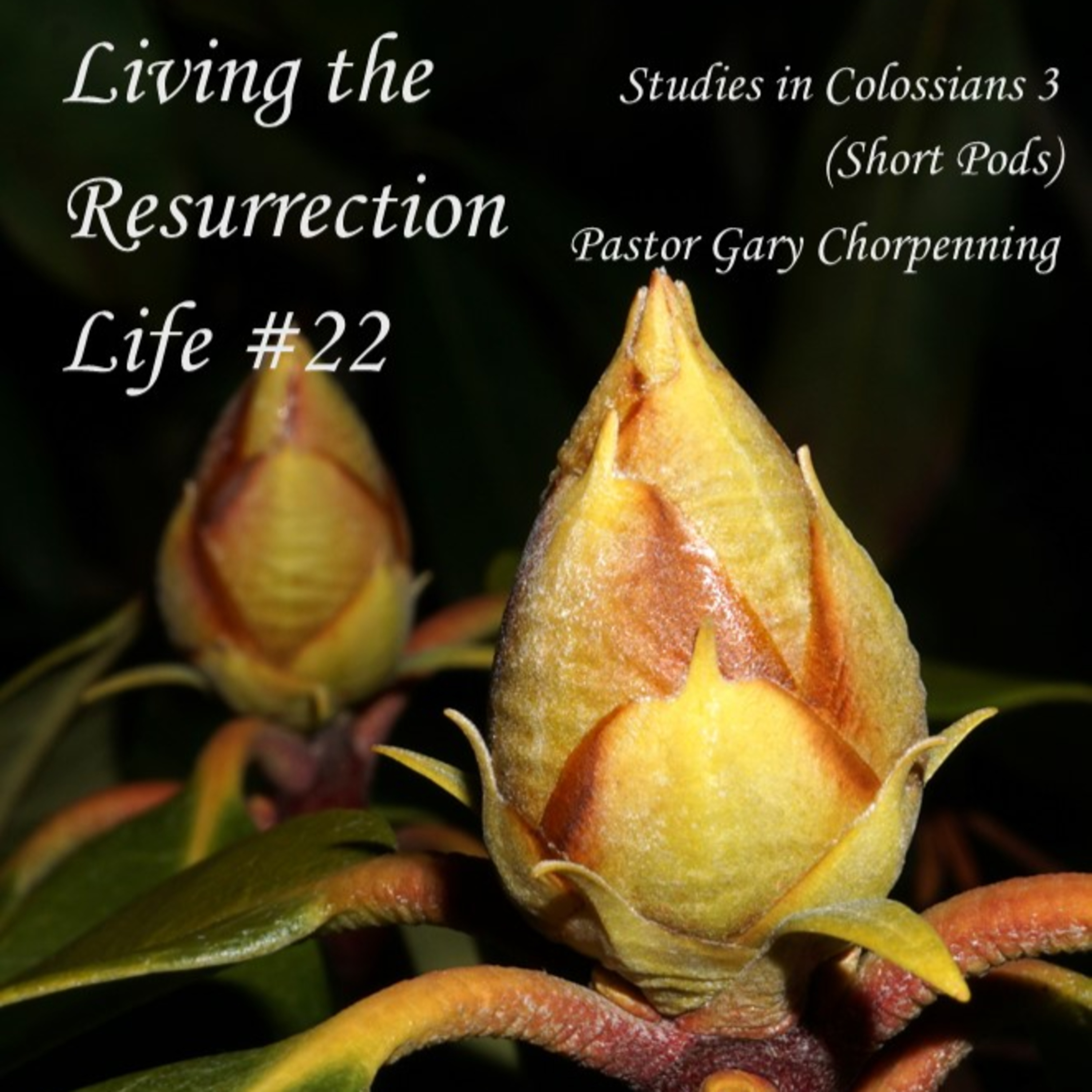 Pastor Gary\'s Audio Notebooks
