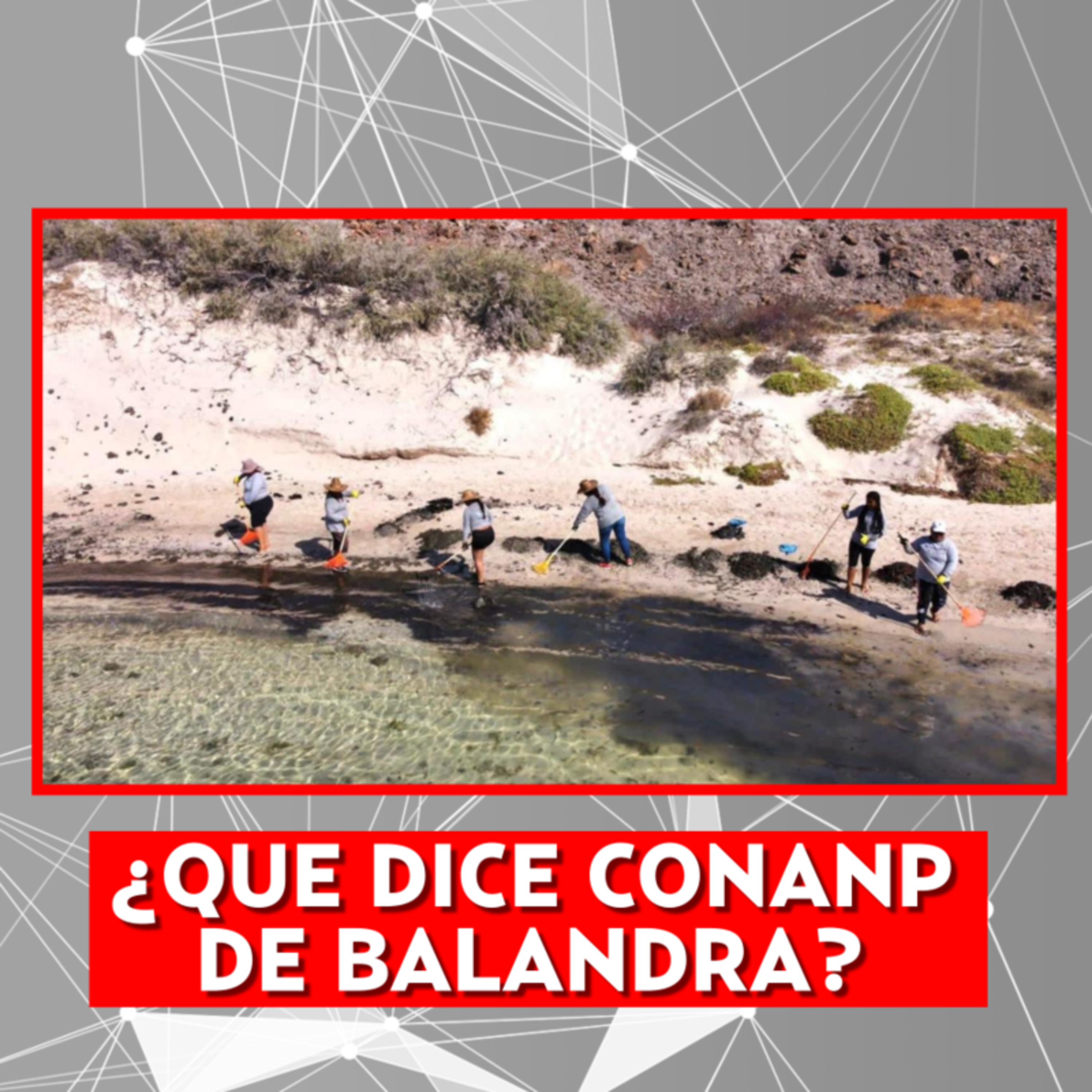 ¿QUE DICE CONANP DE BALANDRA? episode artwork