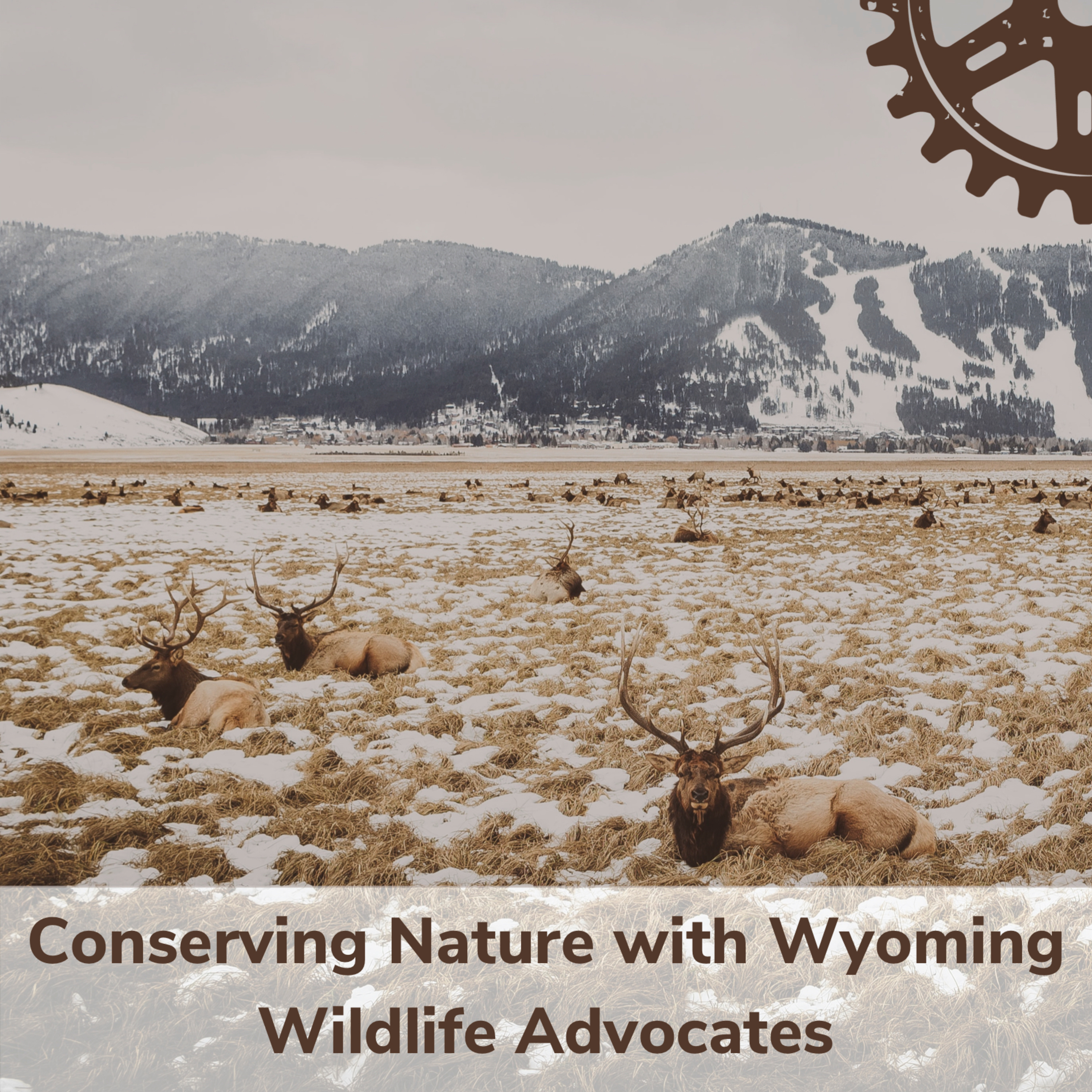 EP 6: Recreation and conservation - How outdoor recreationalists can work to protect wild places and protect wildlife for generations to come episode artwork