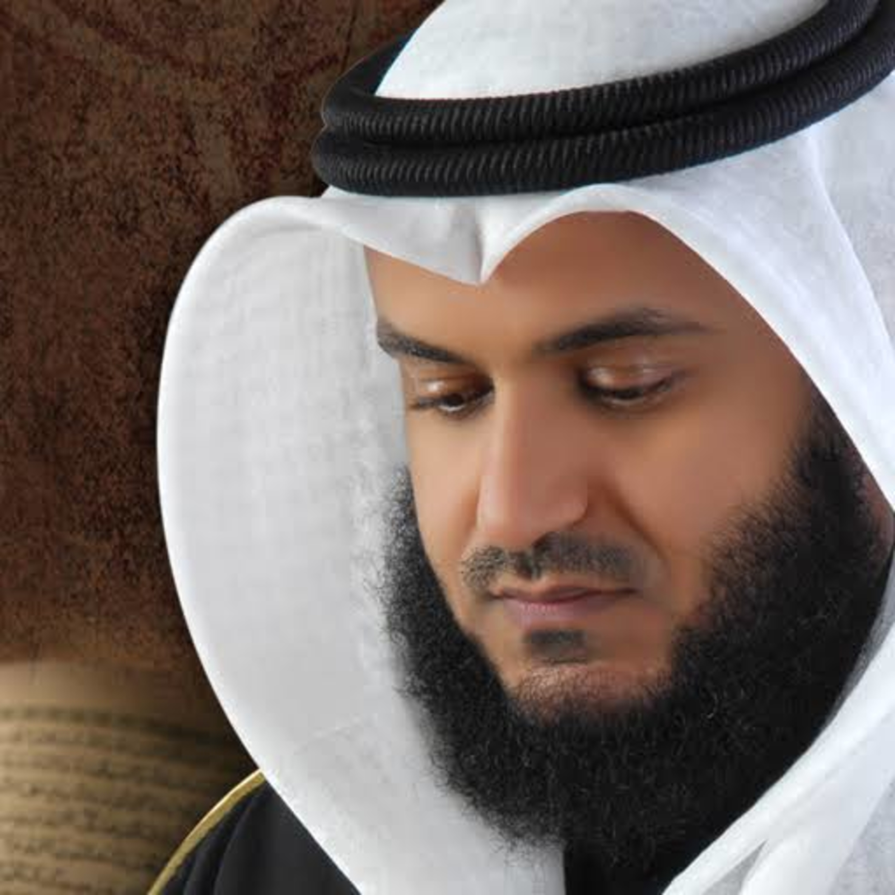 Surah Fussilat Syaikh Mishary Alafasy