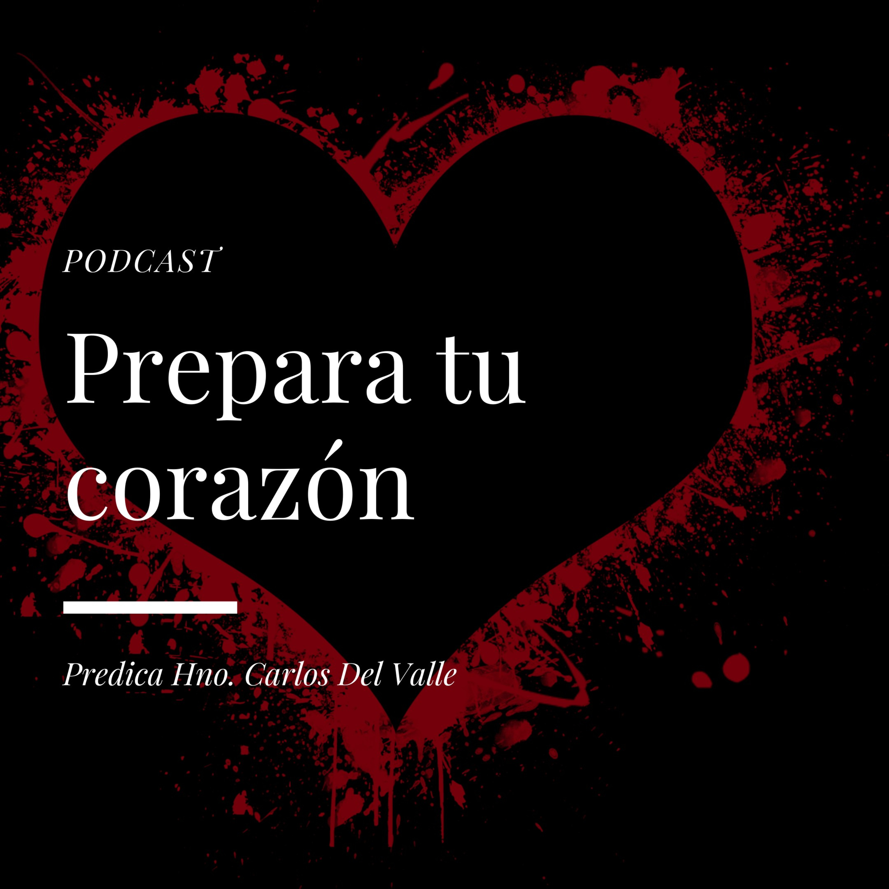 Manual De Vida