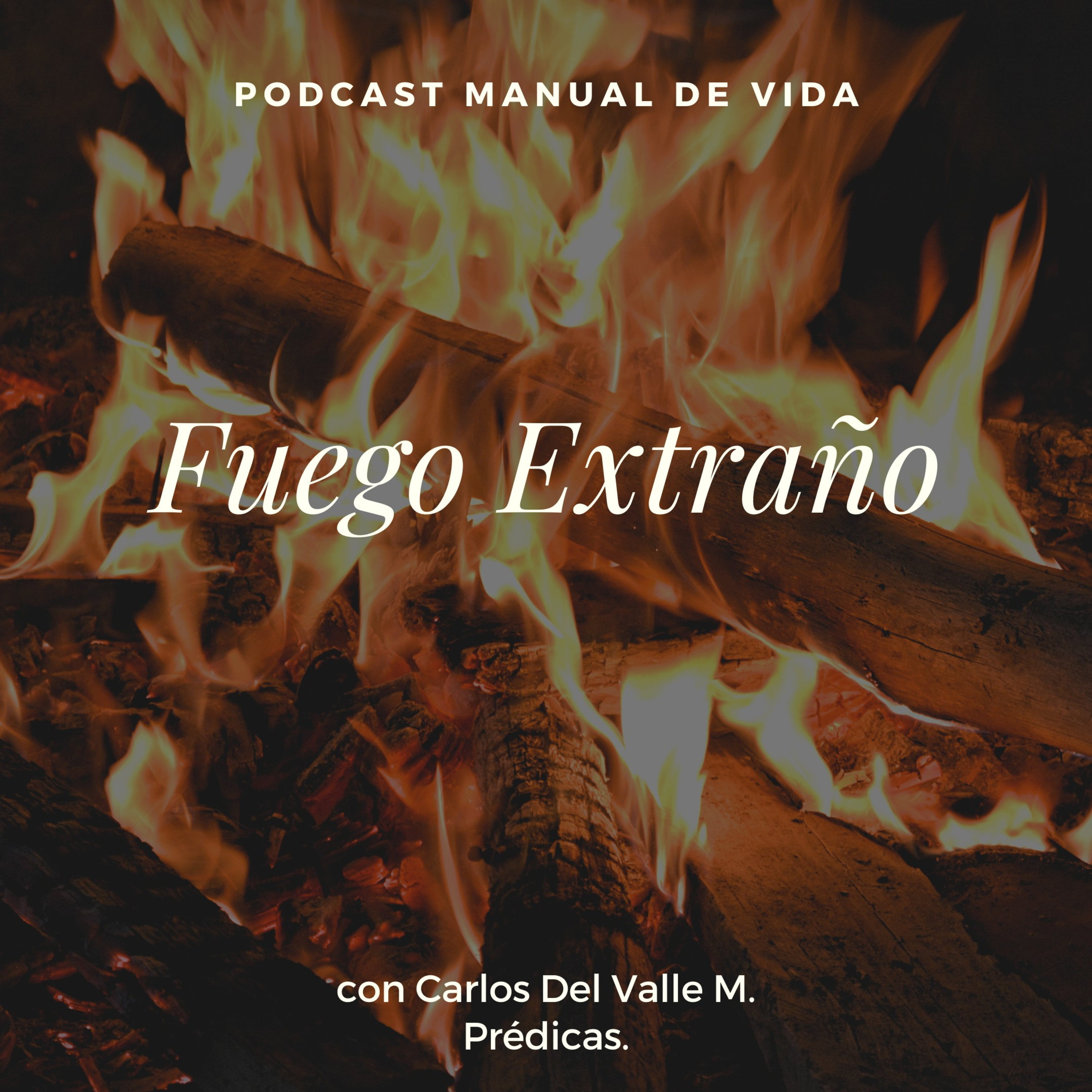 Manual De Vida