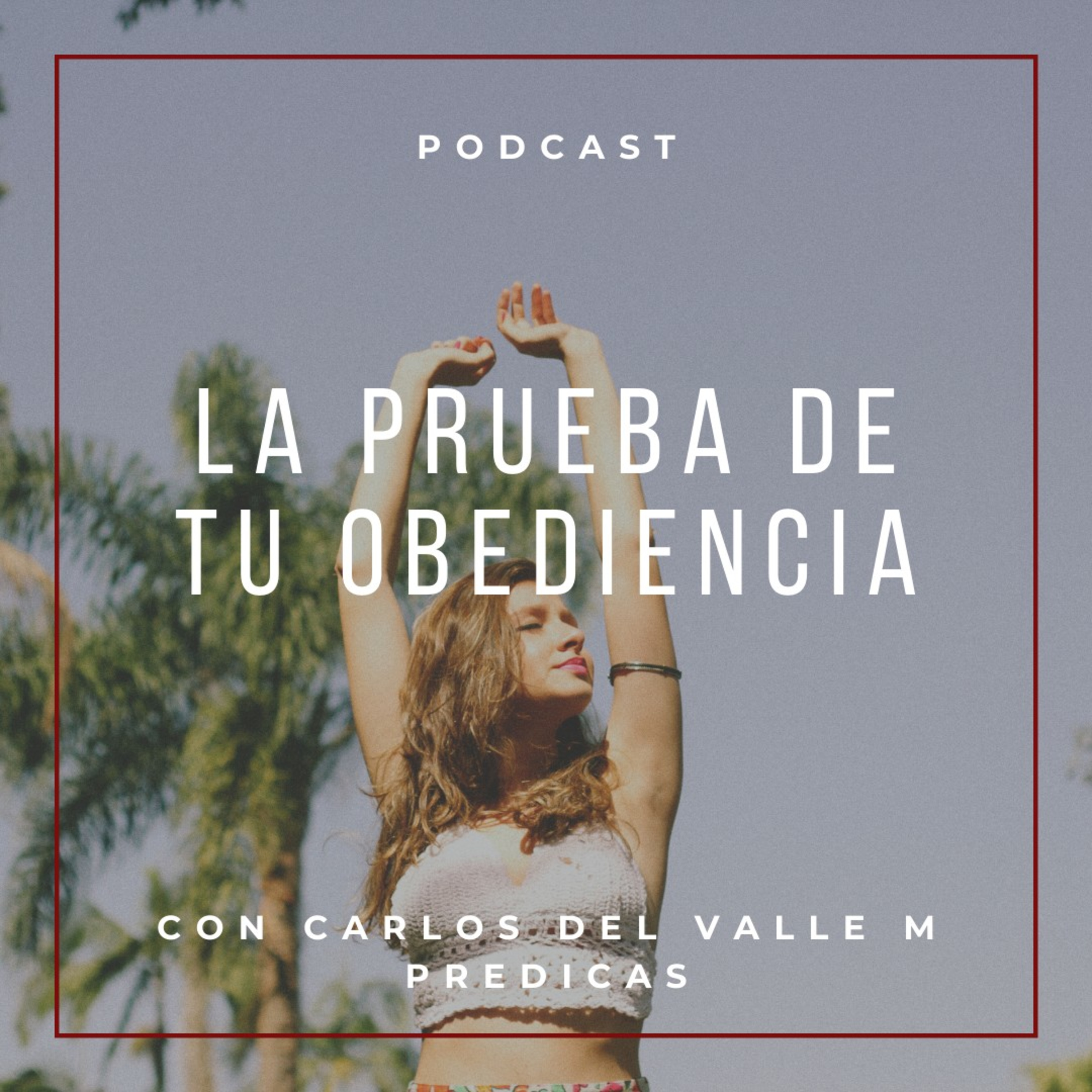 Manual De Vida