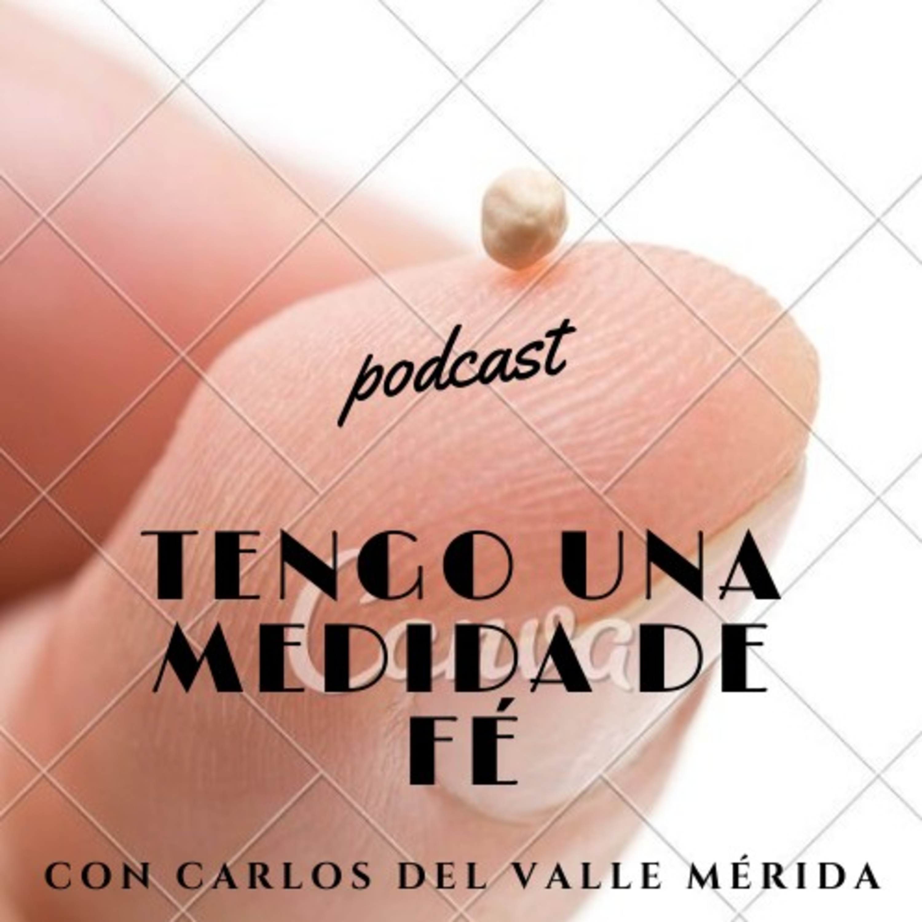 Manual De Vida