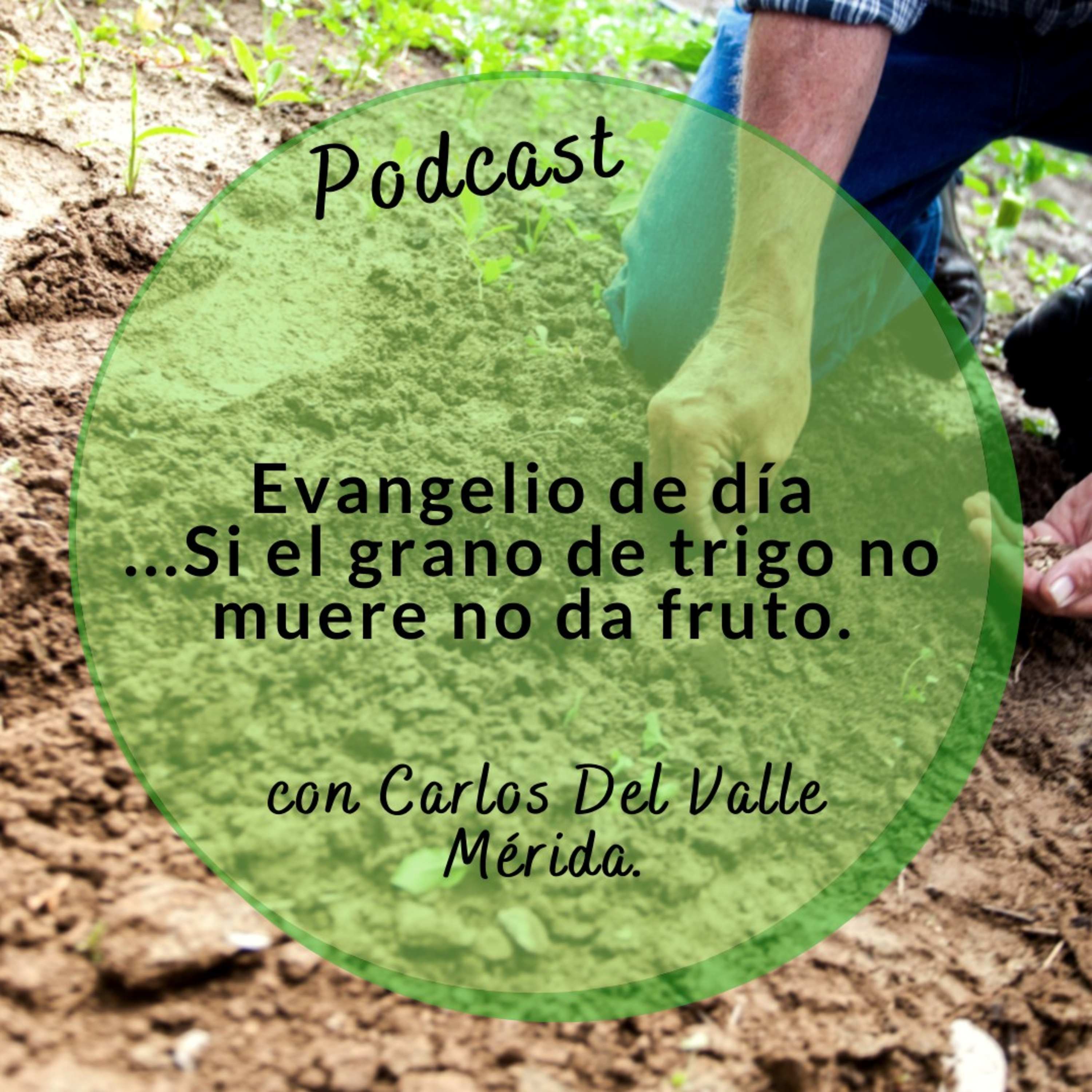 Manual De Vida