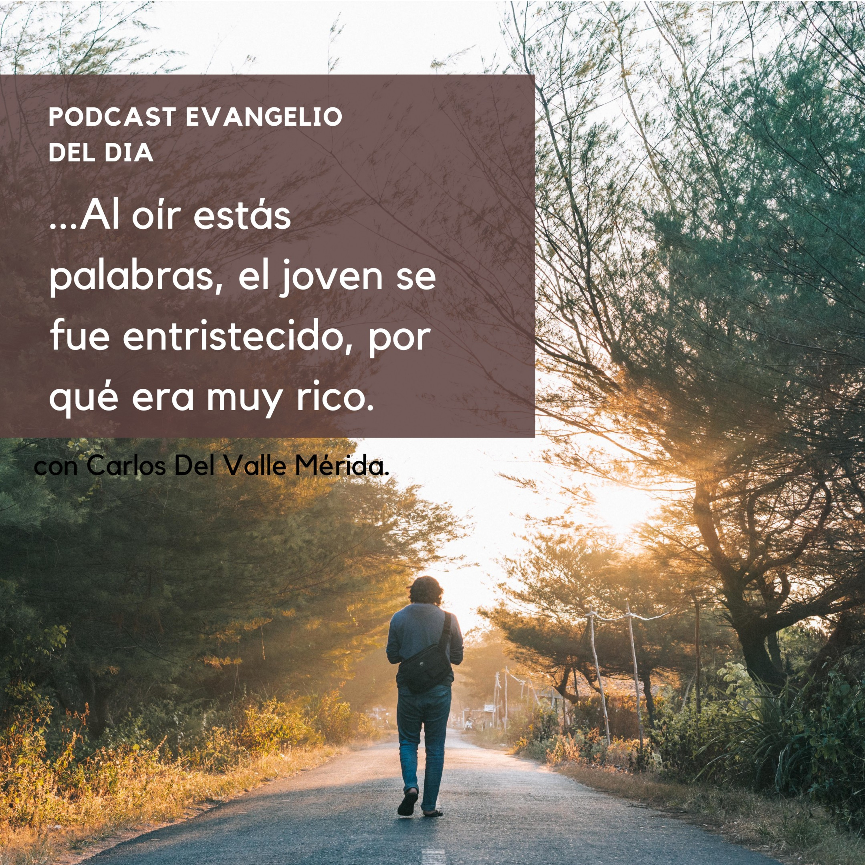 Manual De Vida