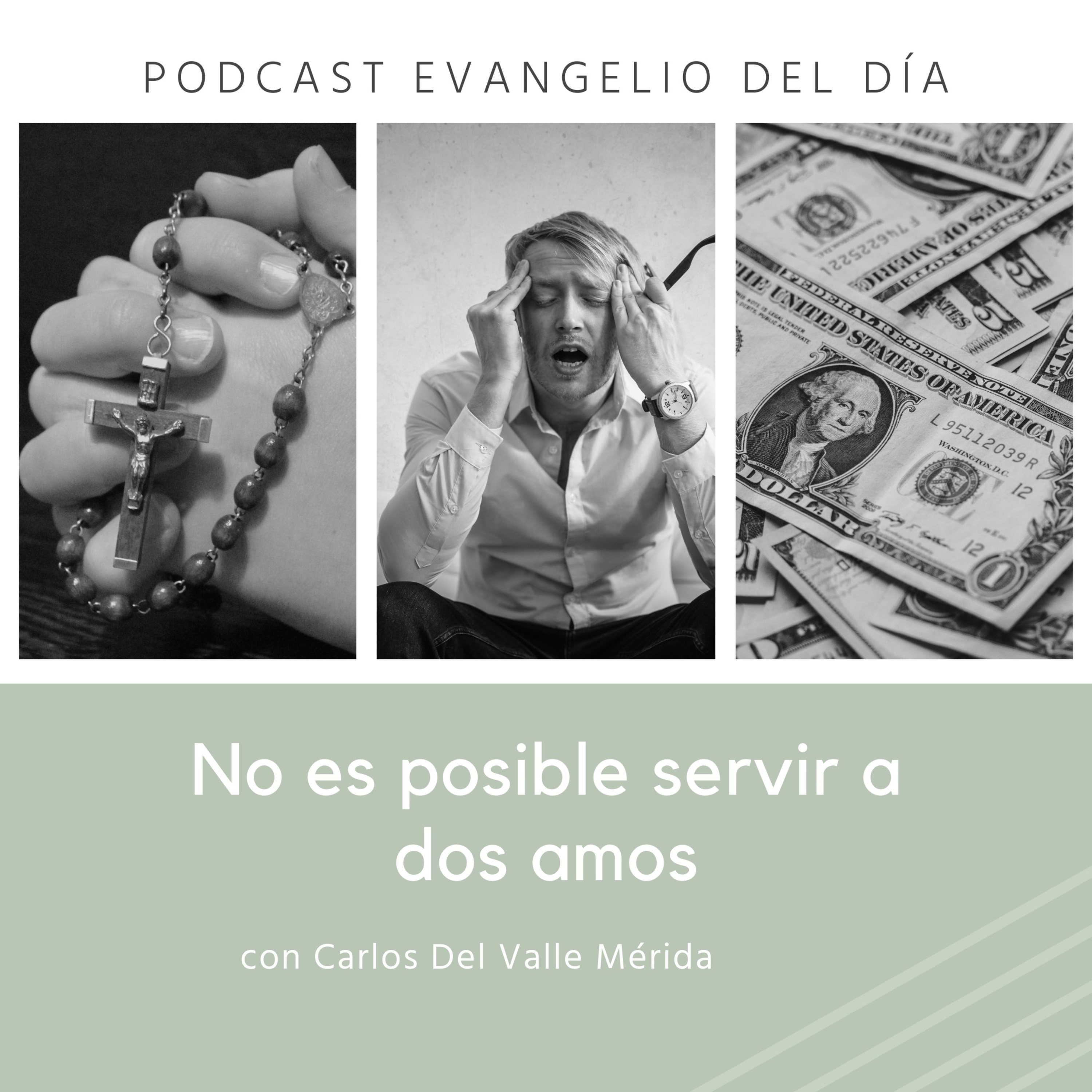 Manual De Vida