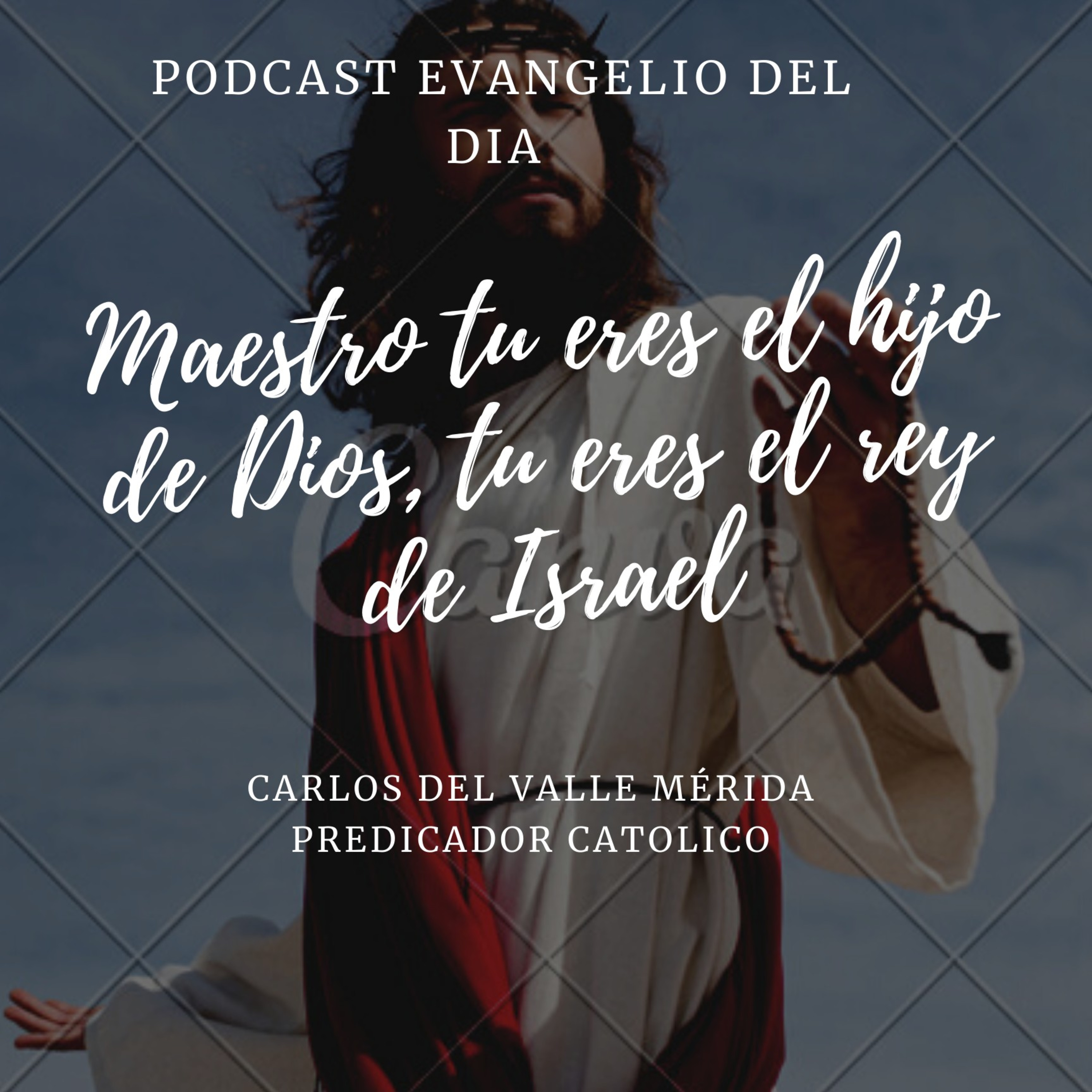 Manual De Vida