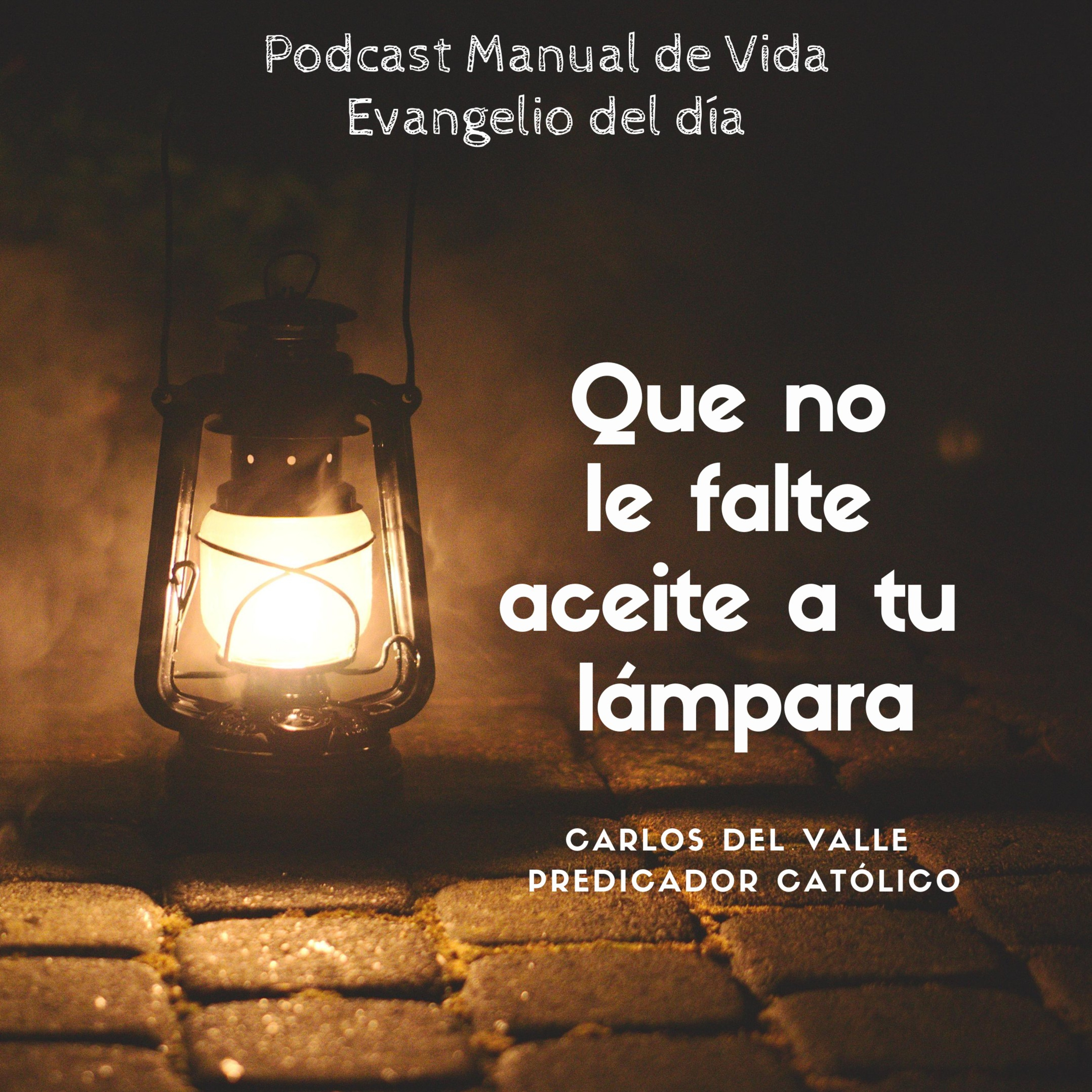 Manual De Vida
