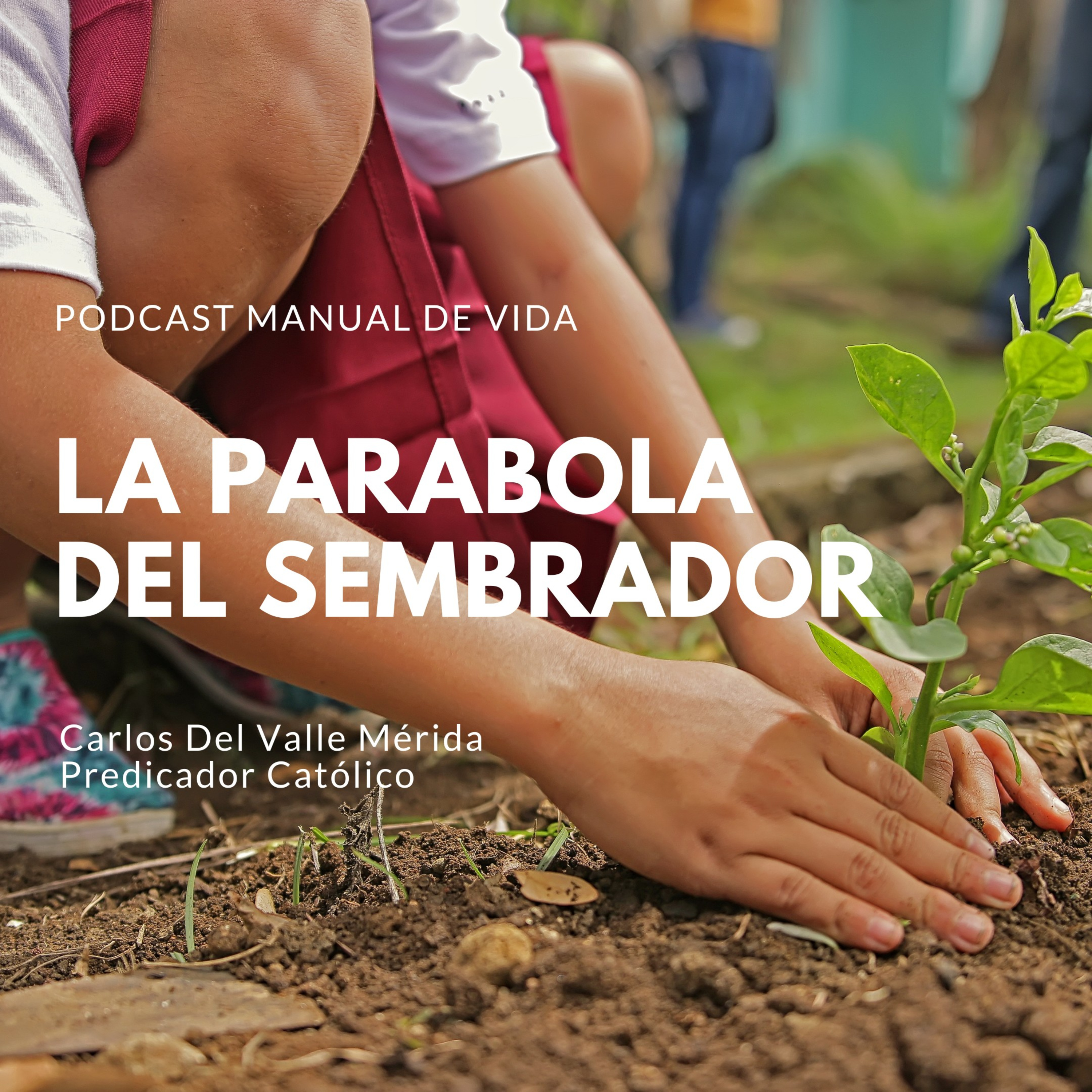 Manual De Vida