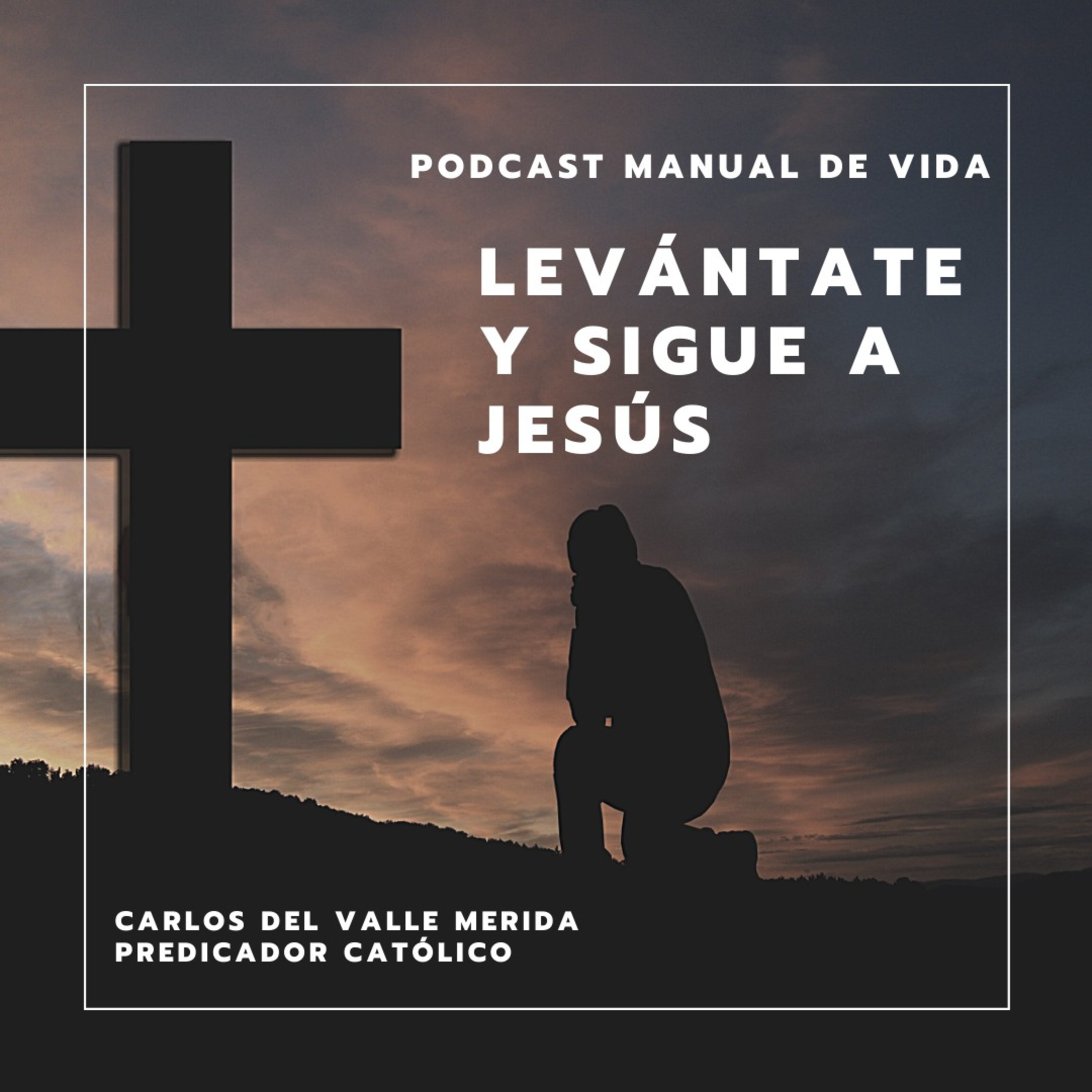 Manual De Vida