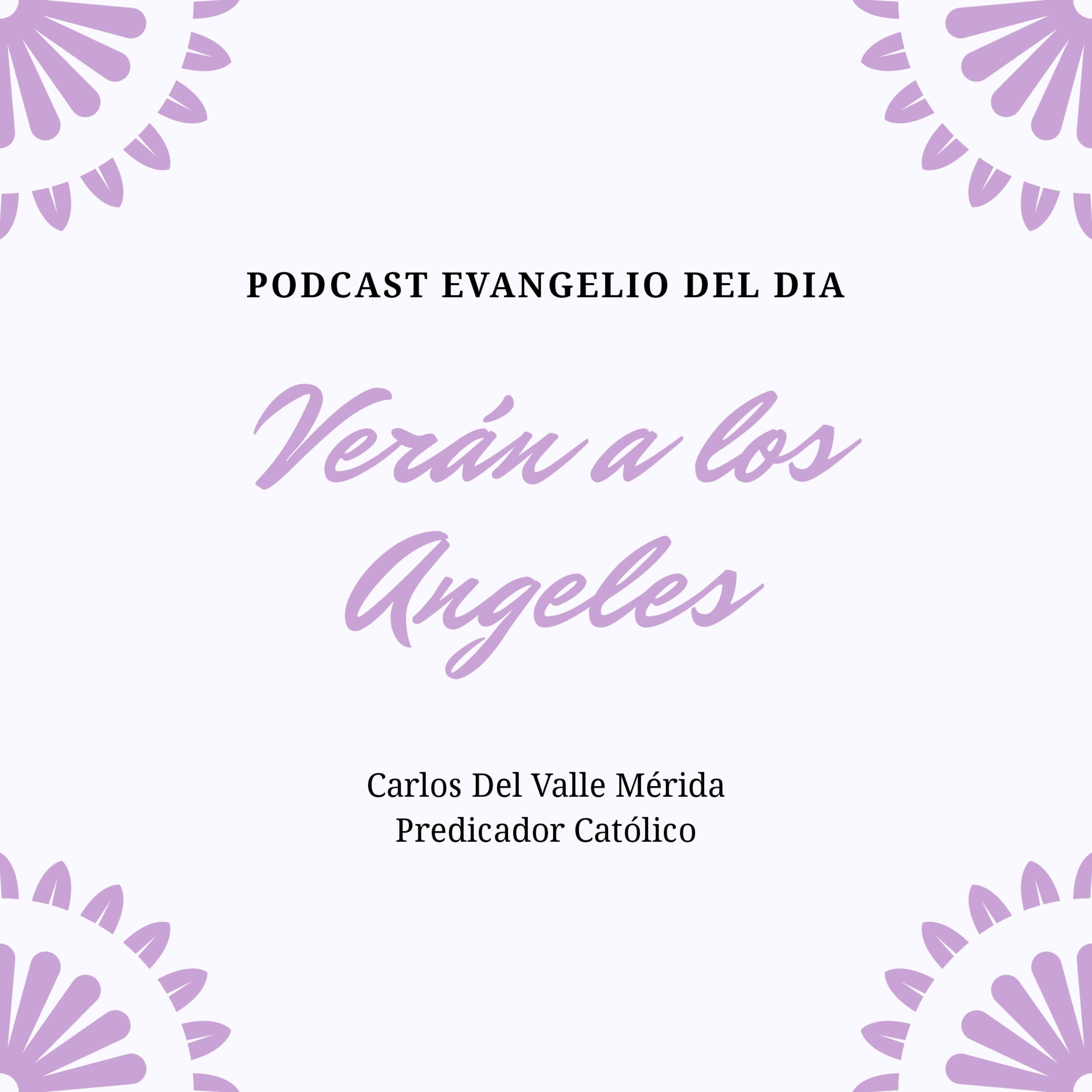 Manual De Vida