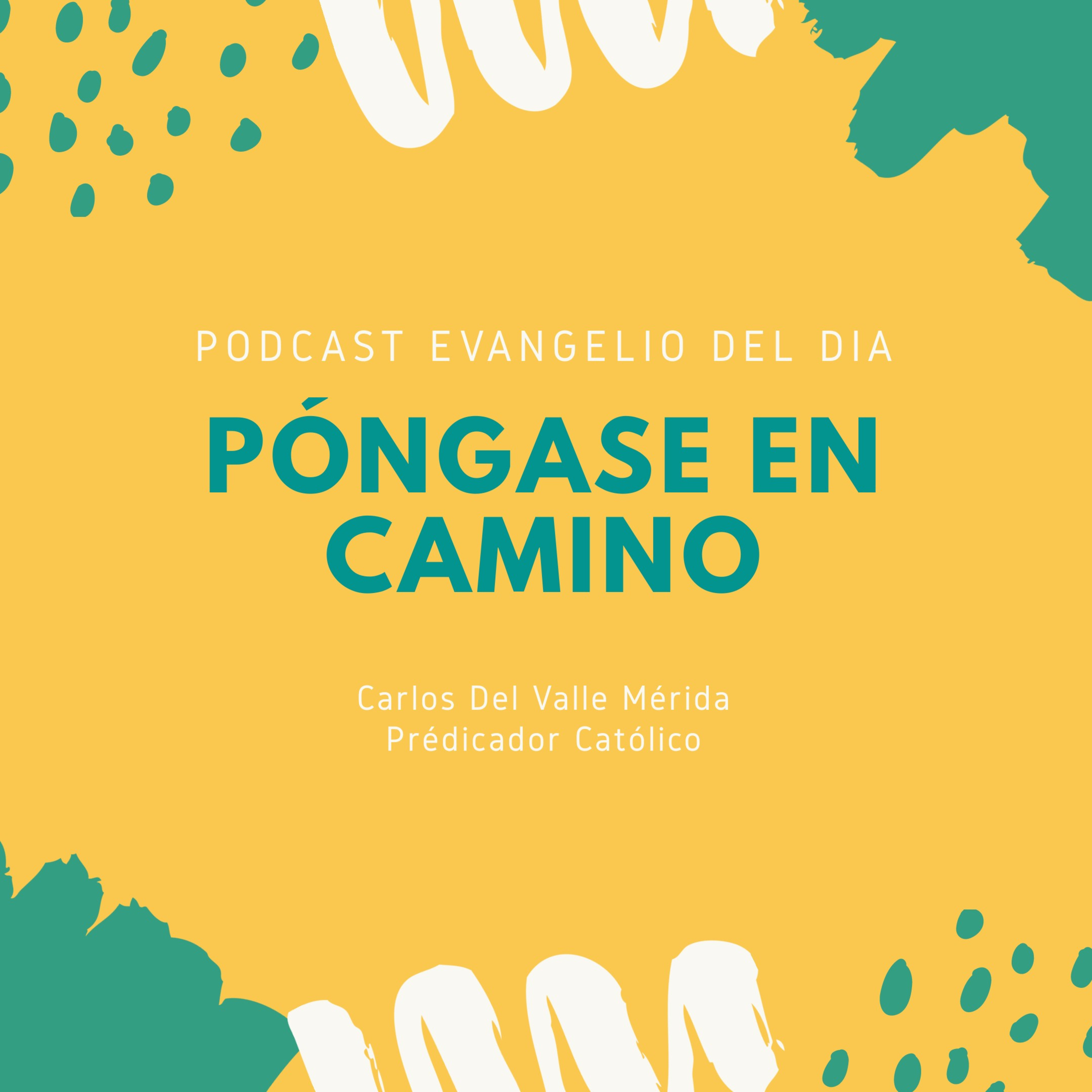 Manual De Vida