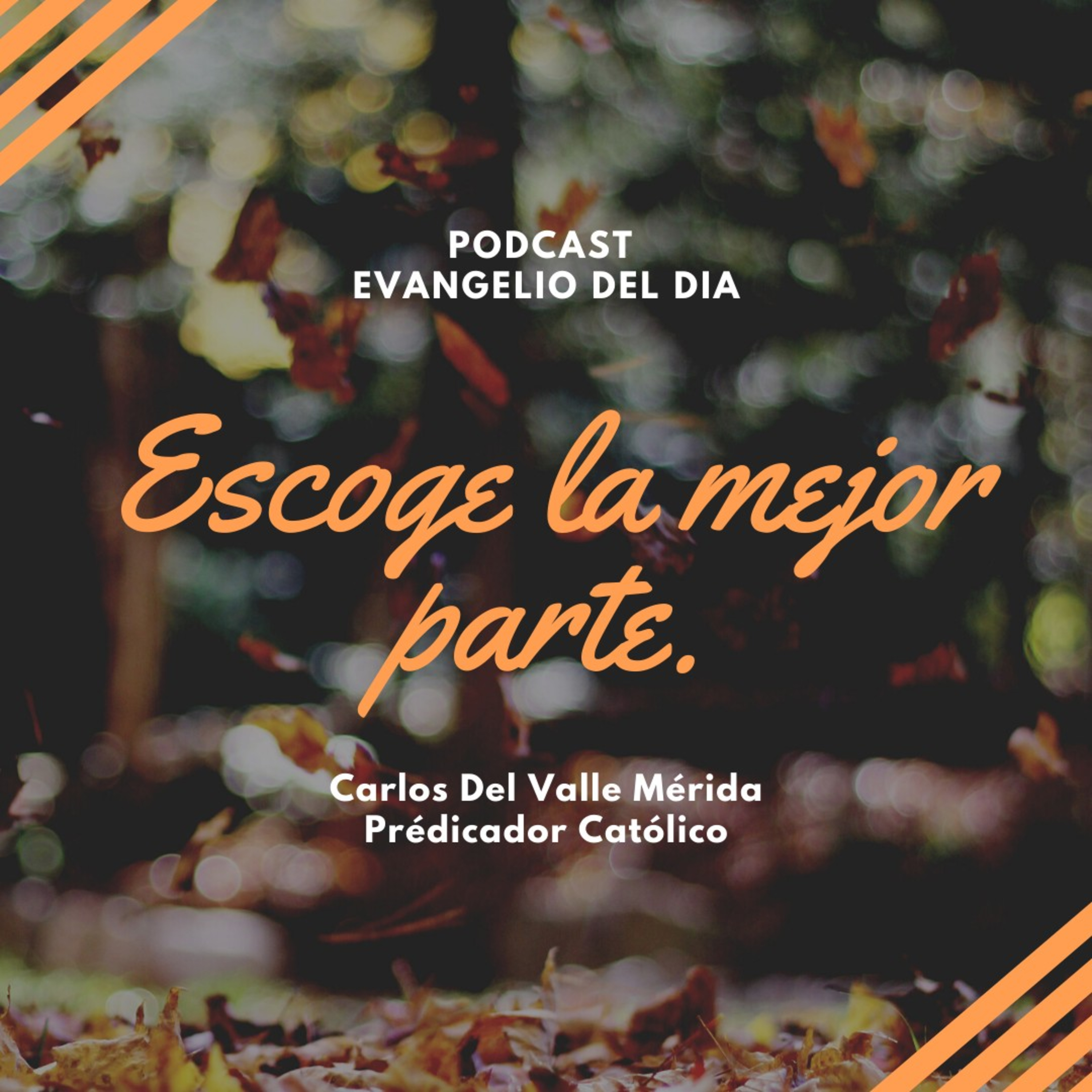 Manual De Vida