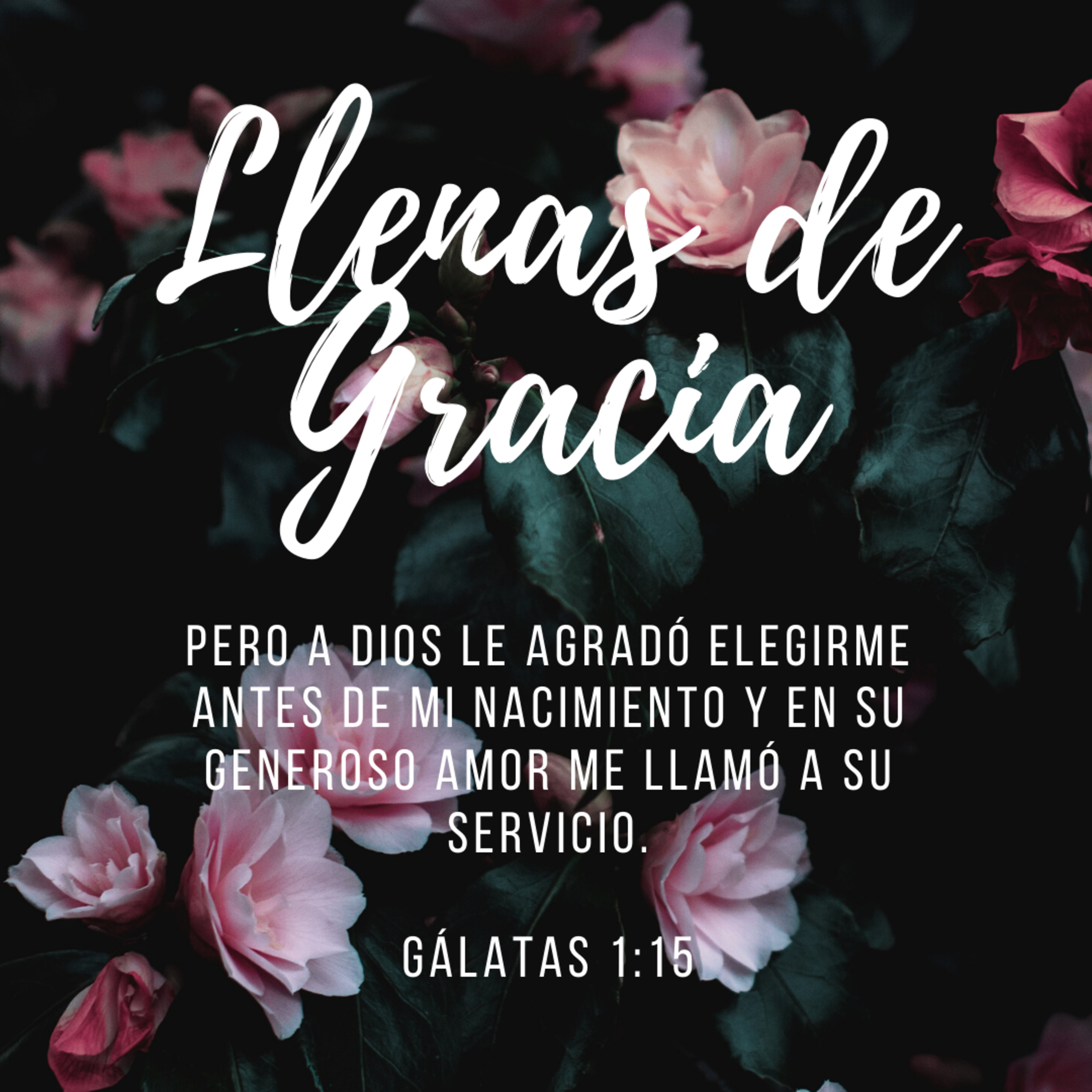 Portada de Vendimia
