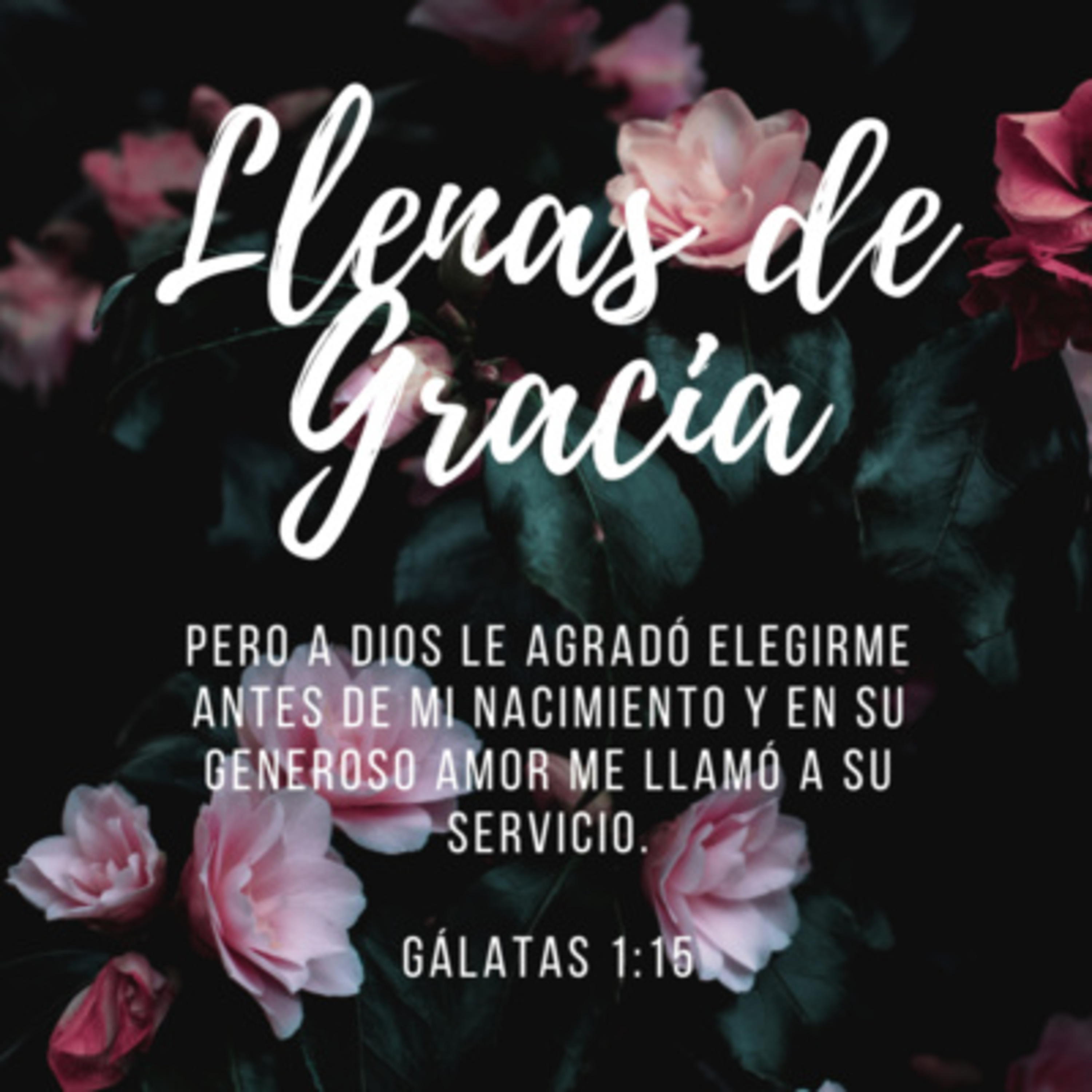 Portada de Vendimia