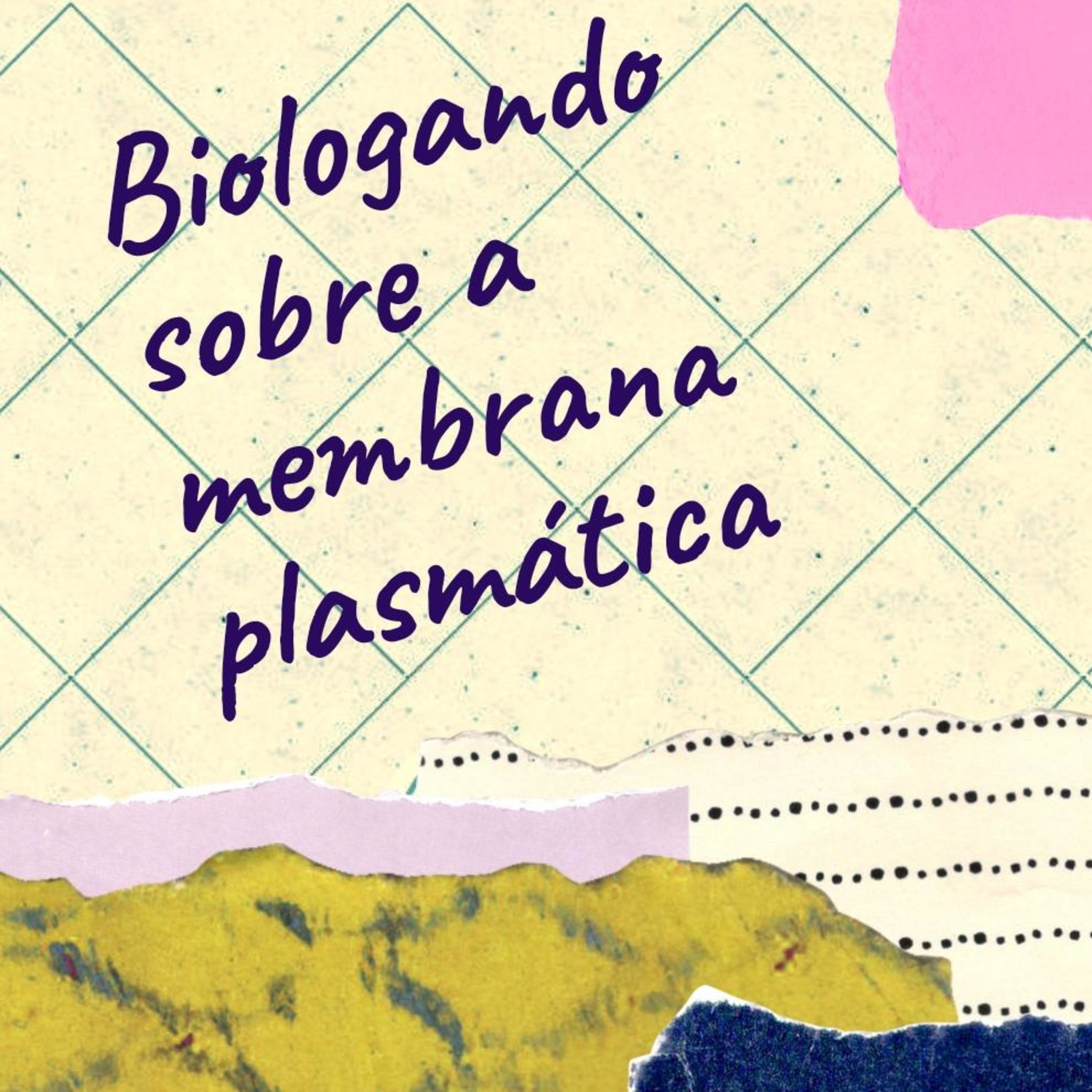 As Proteínas e os Lipídios da Membrana 