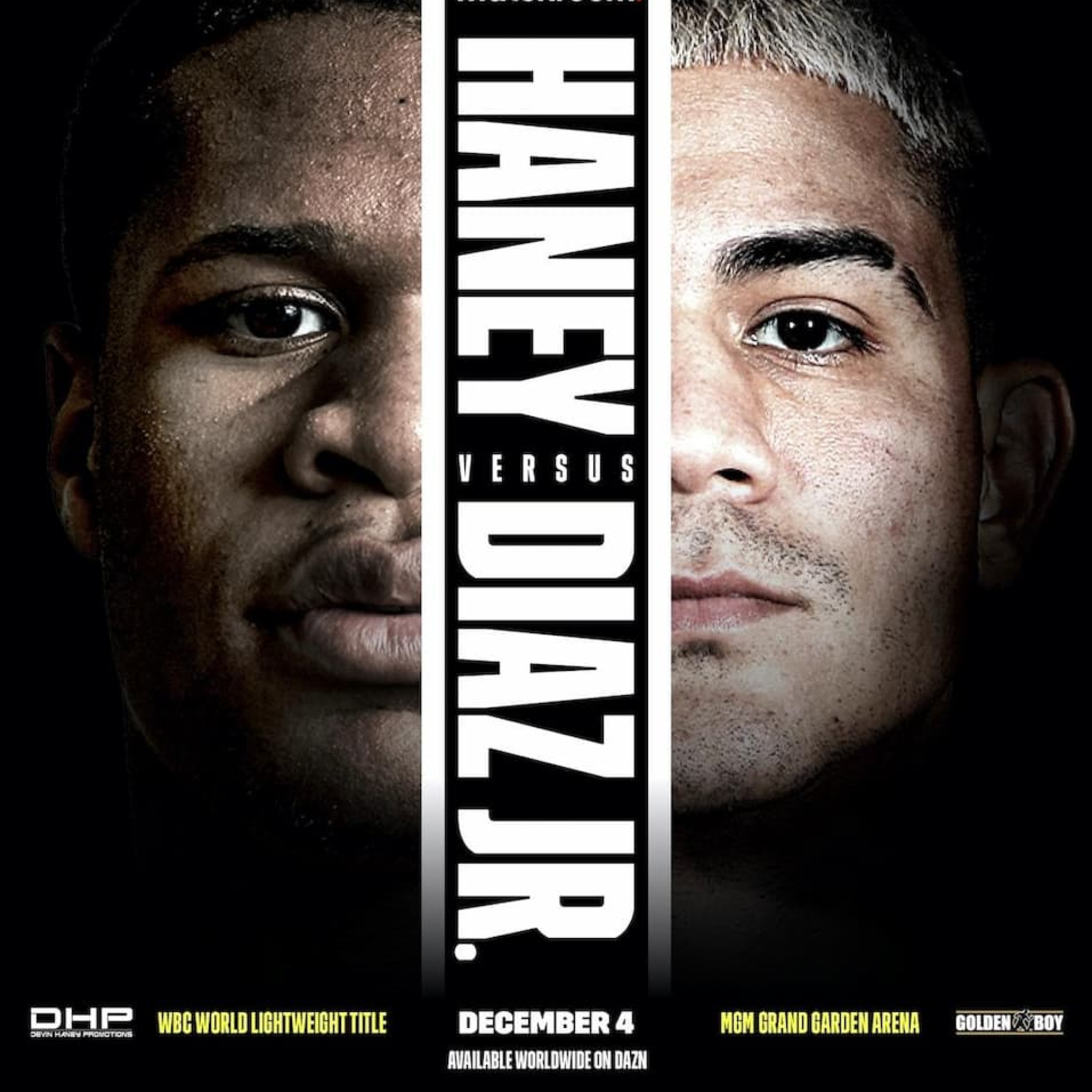 Fight Junkie