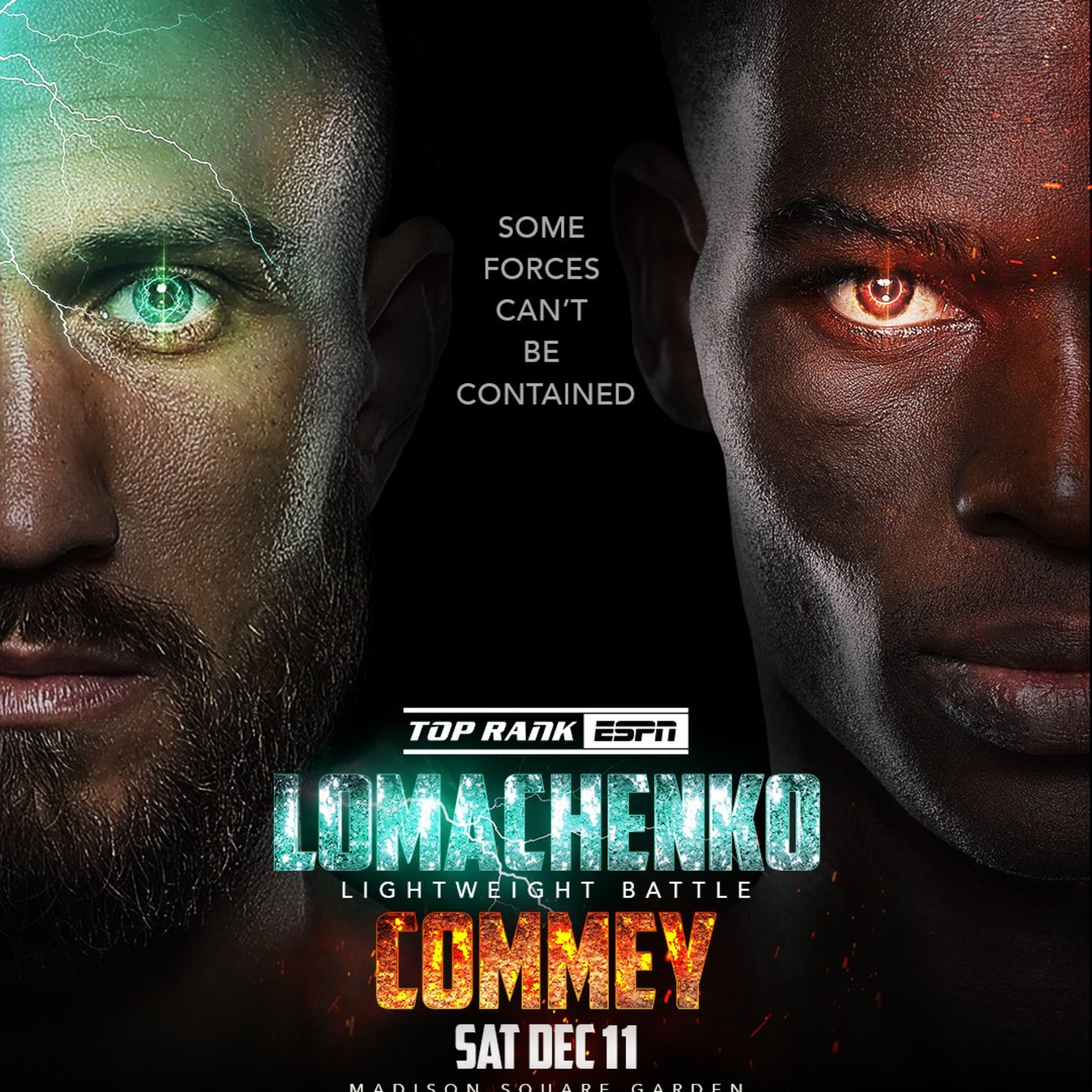 Fight Junkie