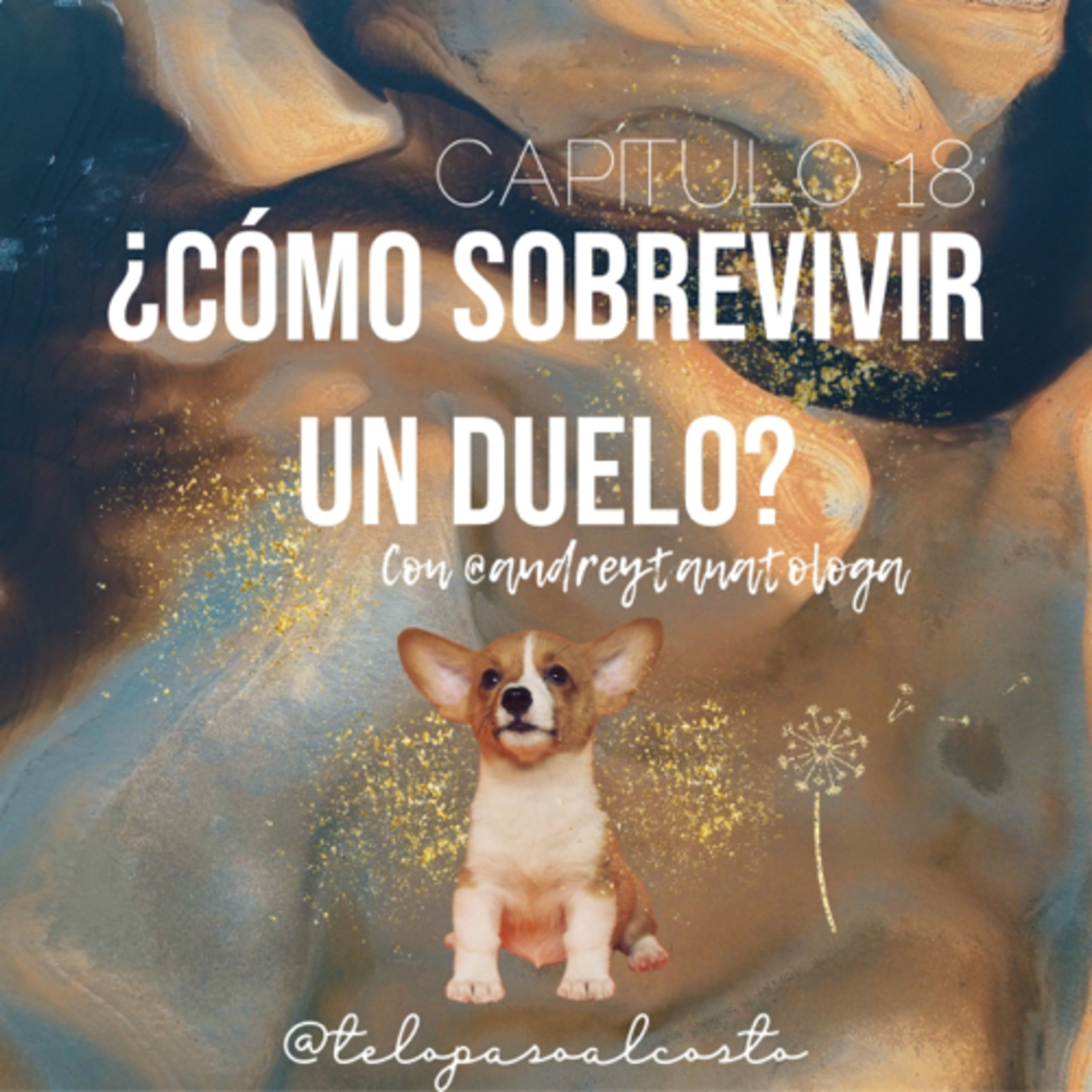 Te lo paso al costo