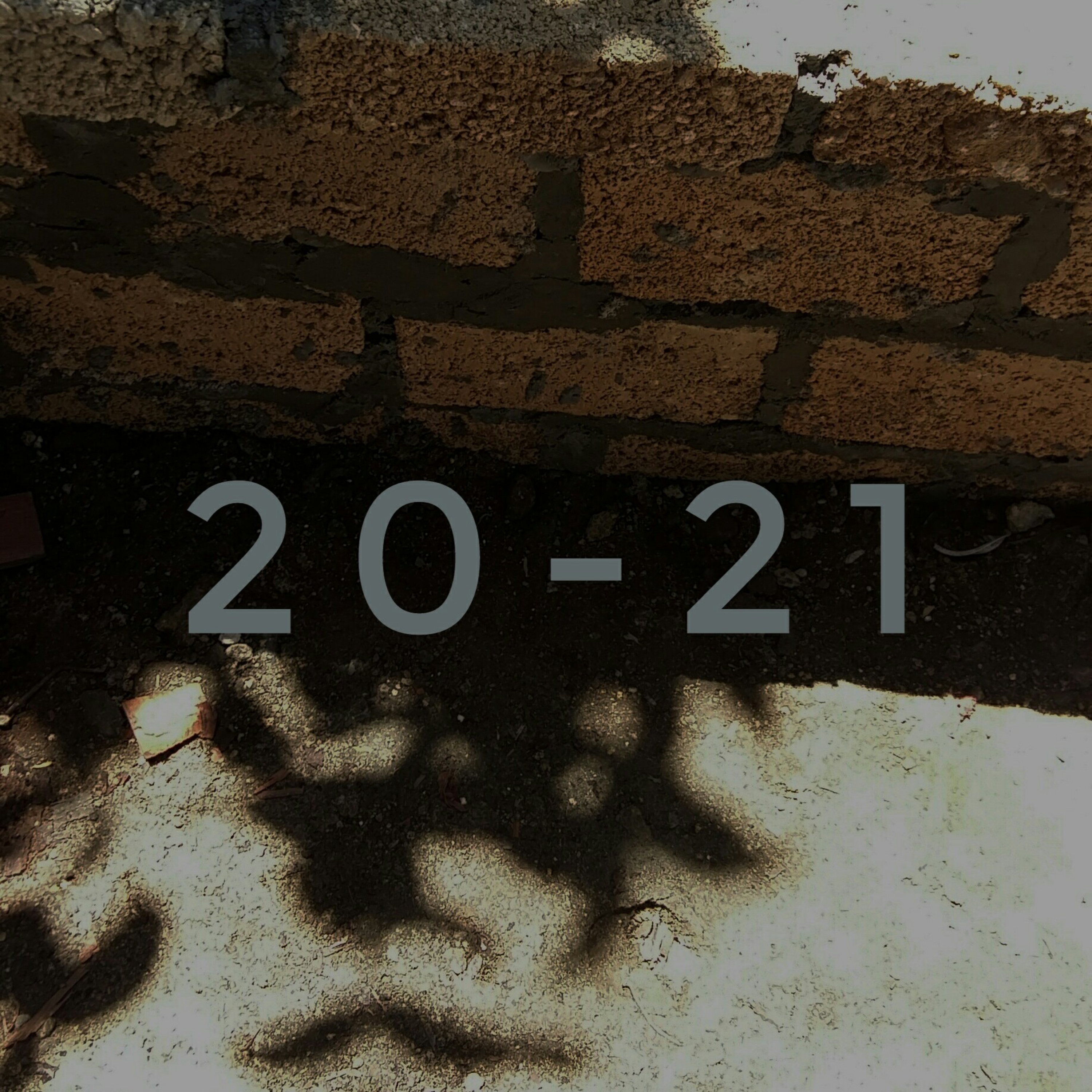 20-21 episode artwork
