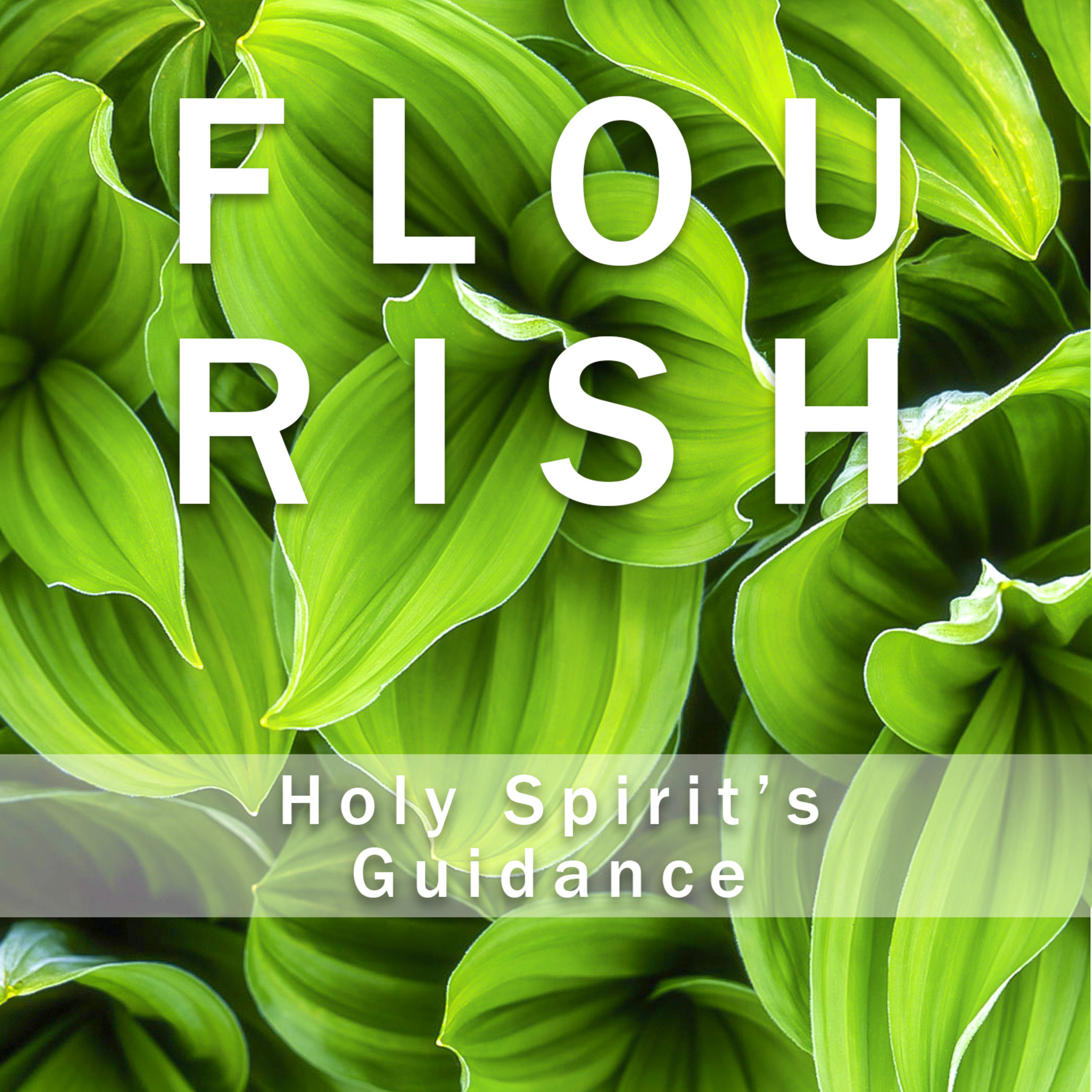 Flourish - Holy Spirit's Guidance episode artwork