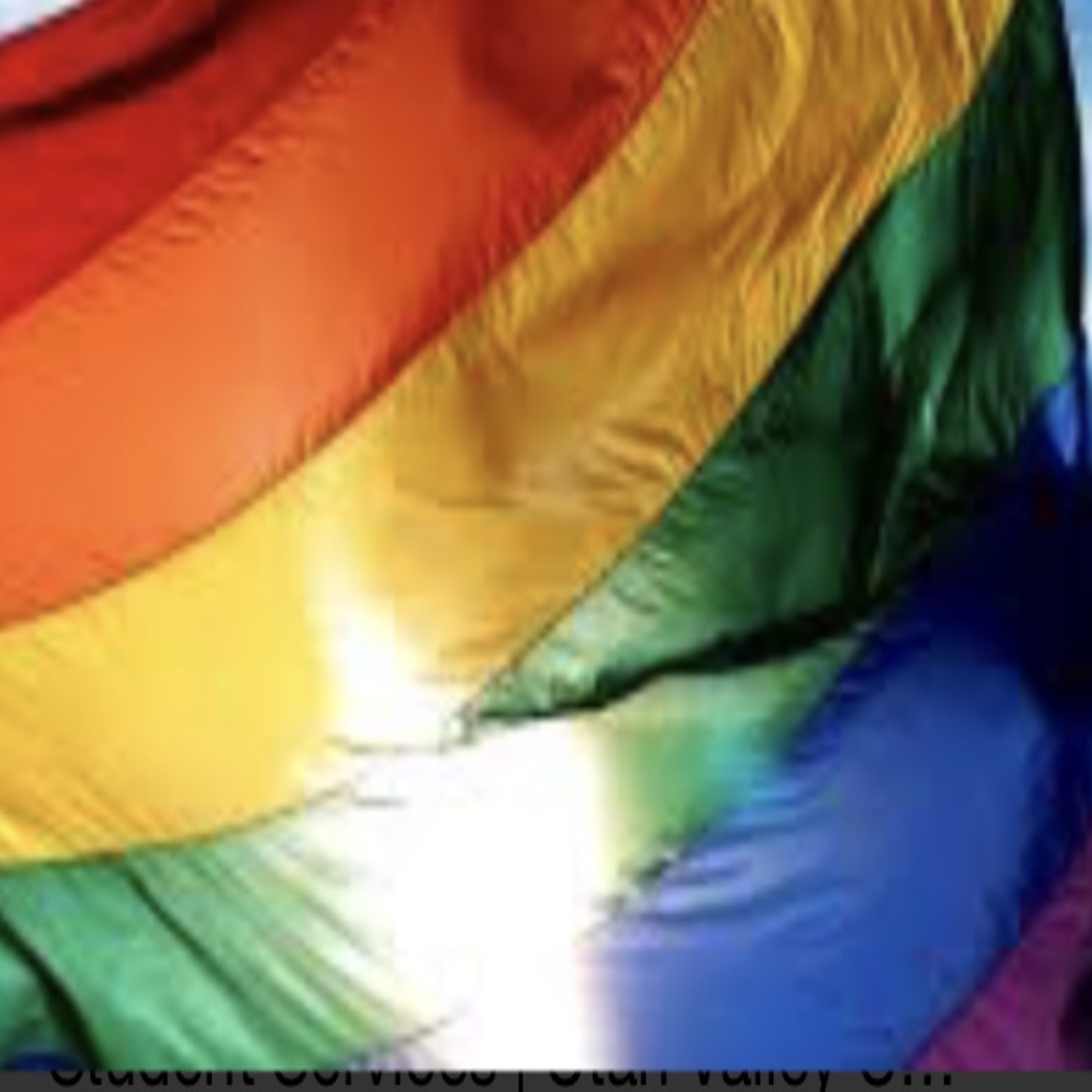 Trans Gender and Gay And Lesbian 