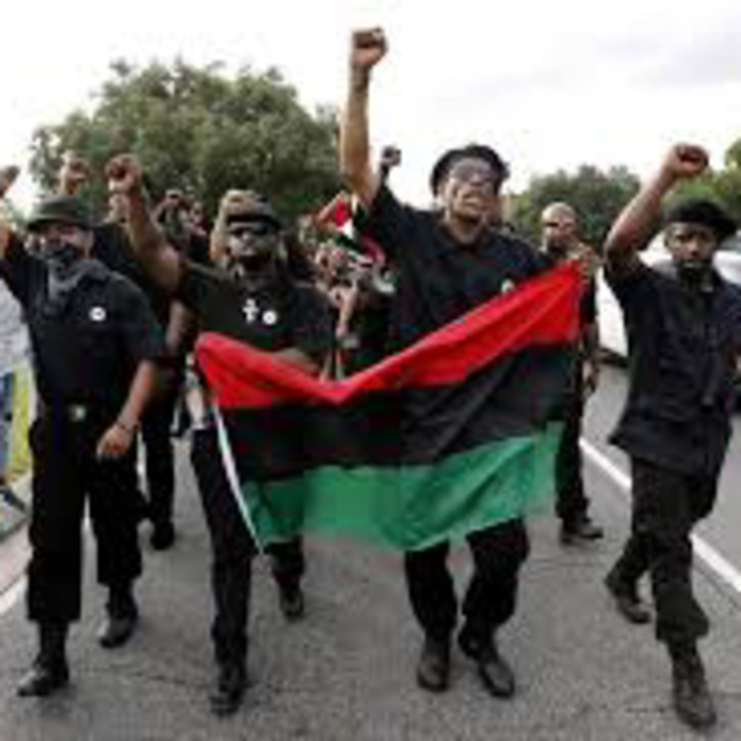 The New Black Panther Party (NBPP) 