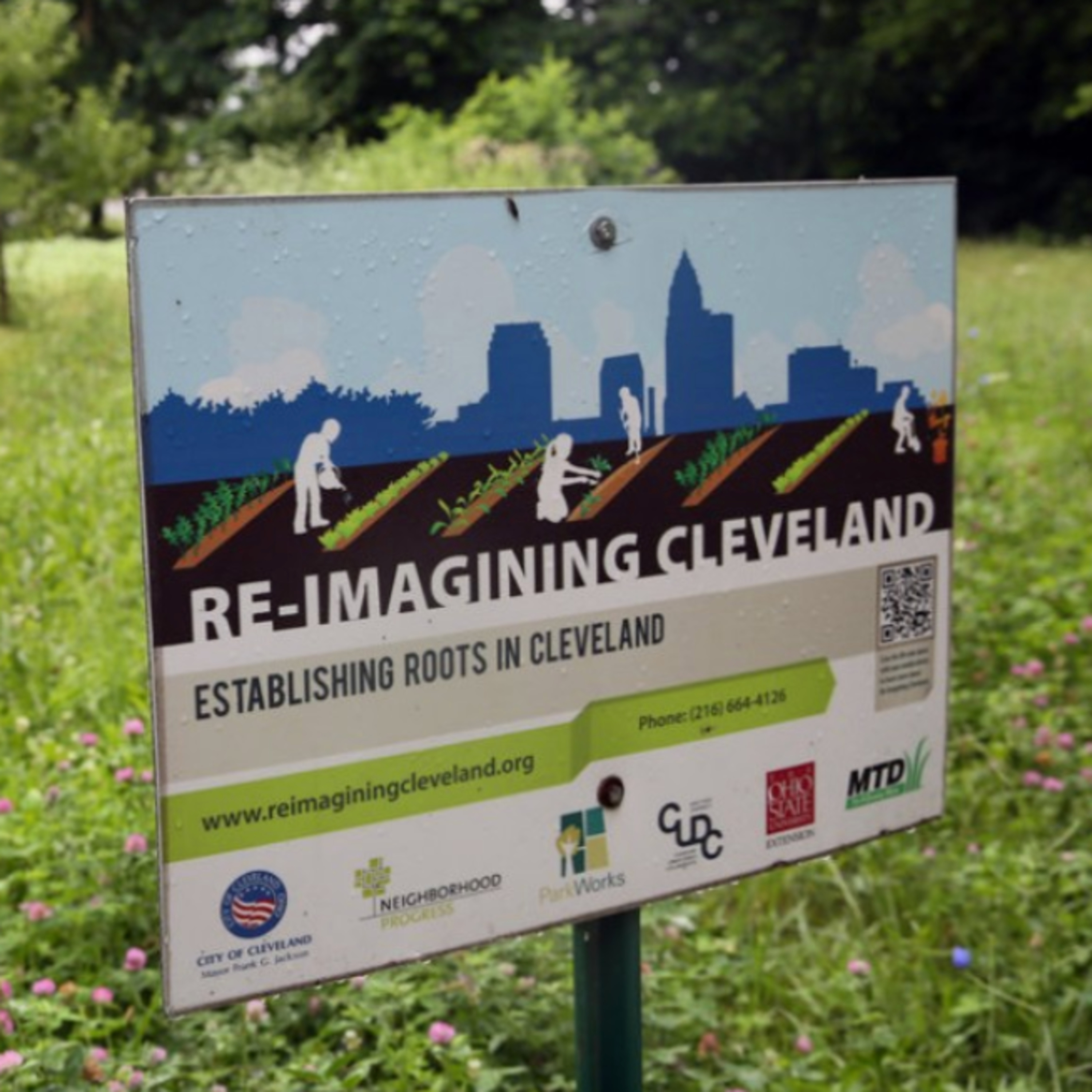 Shrinking Cities