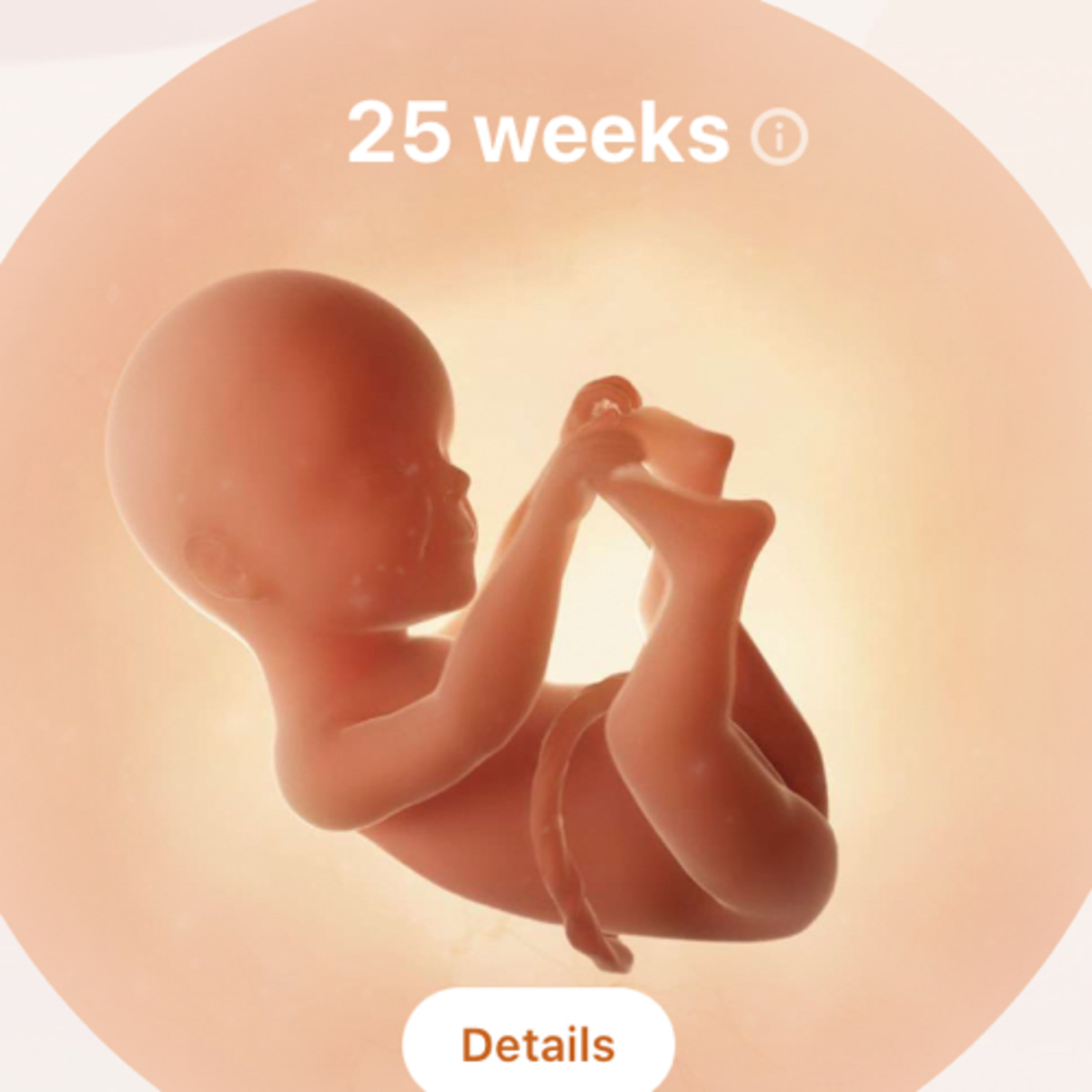 25 Weeks episode artwork