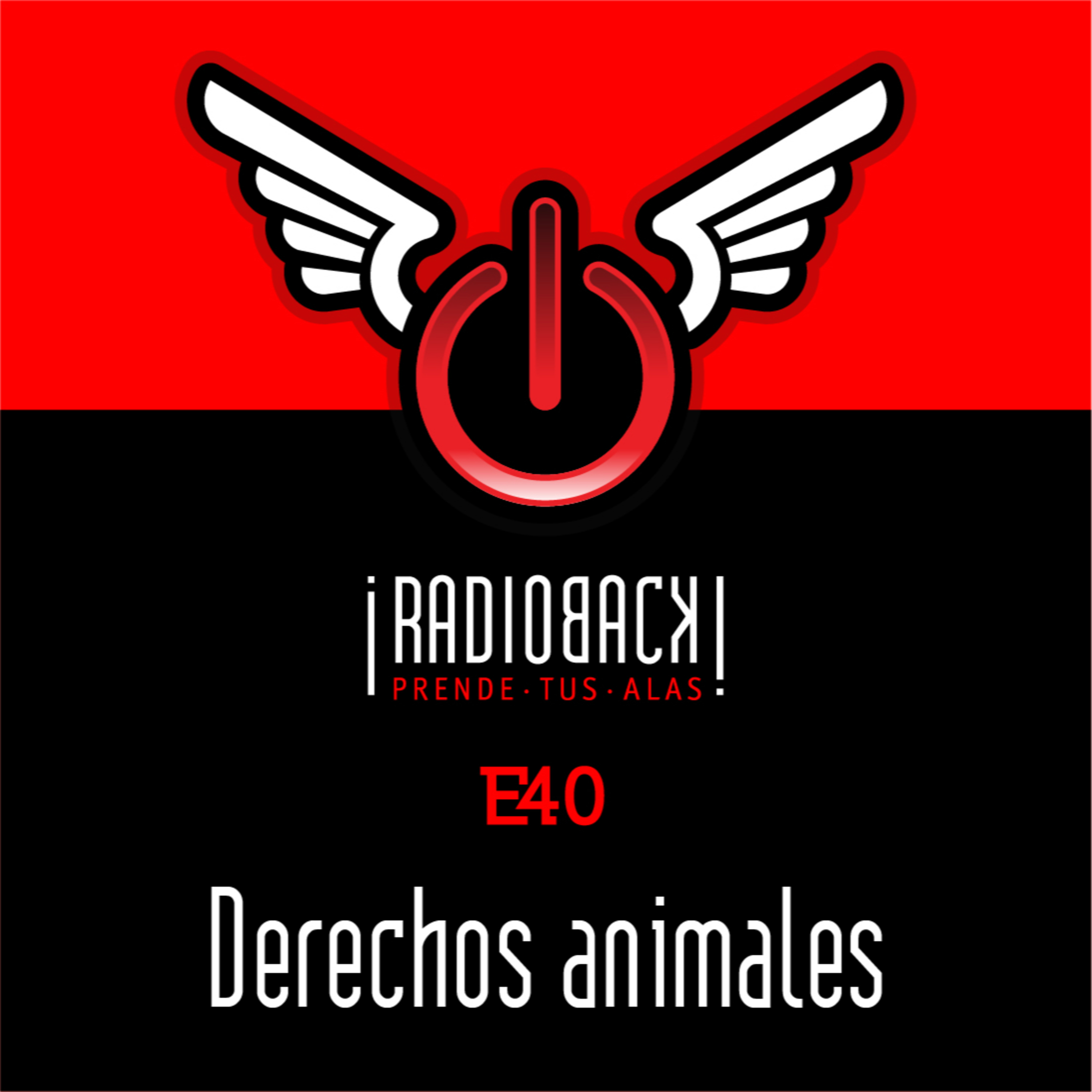 RADIOBACK