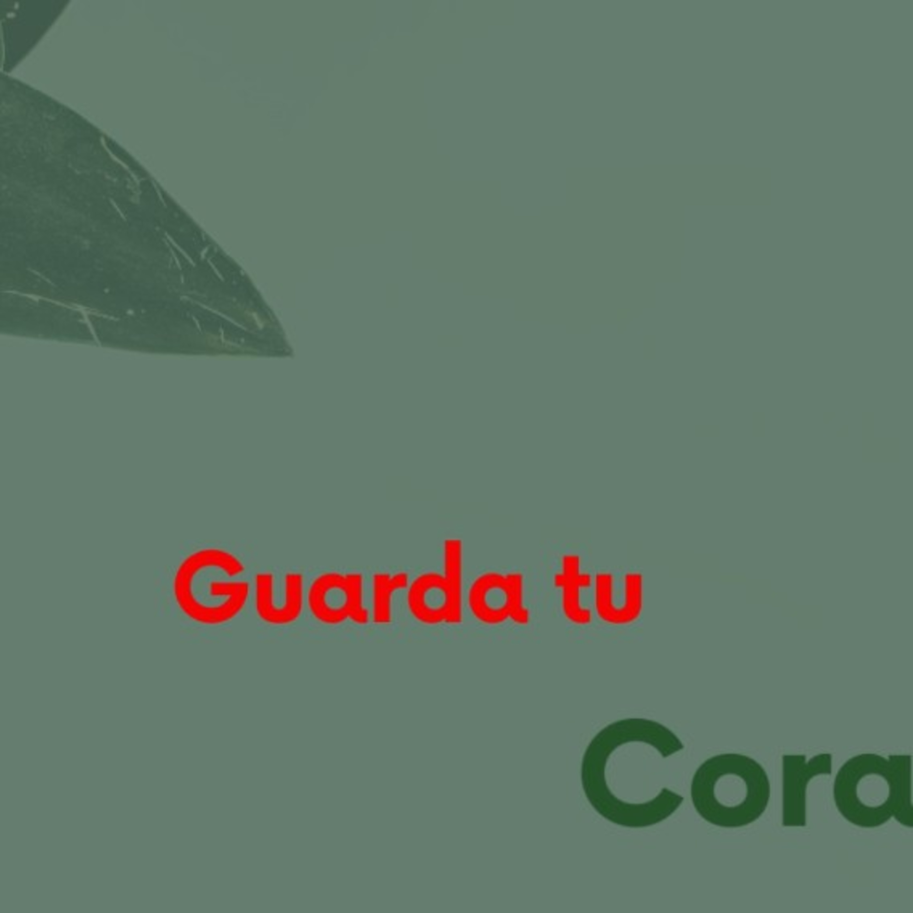 Guarda tú corazón  episode artwork
