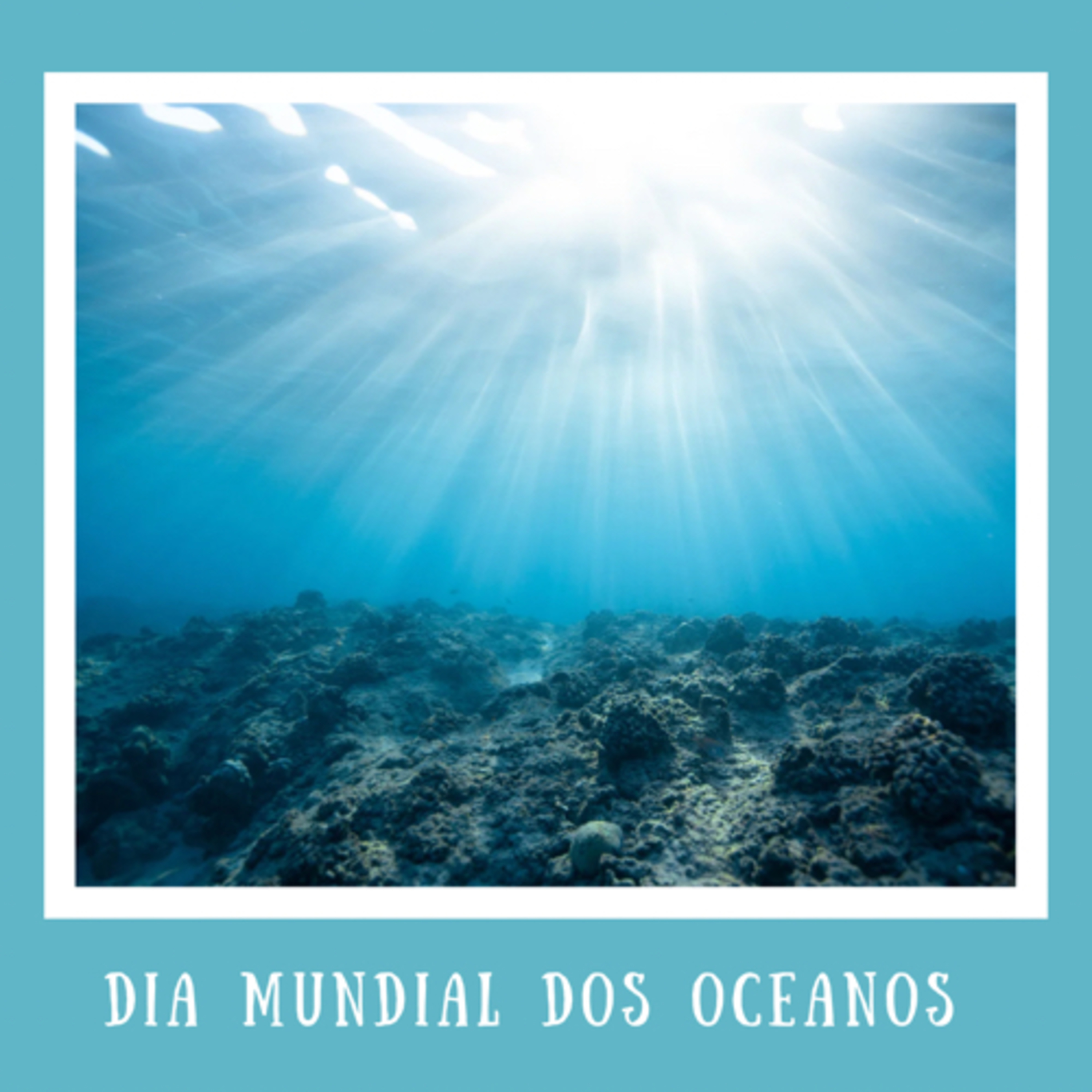 Dia Mundial dos Oceanos episode artwork