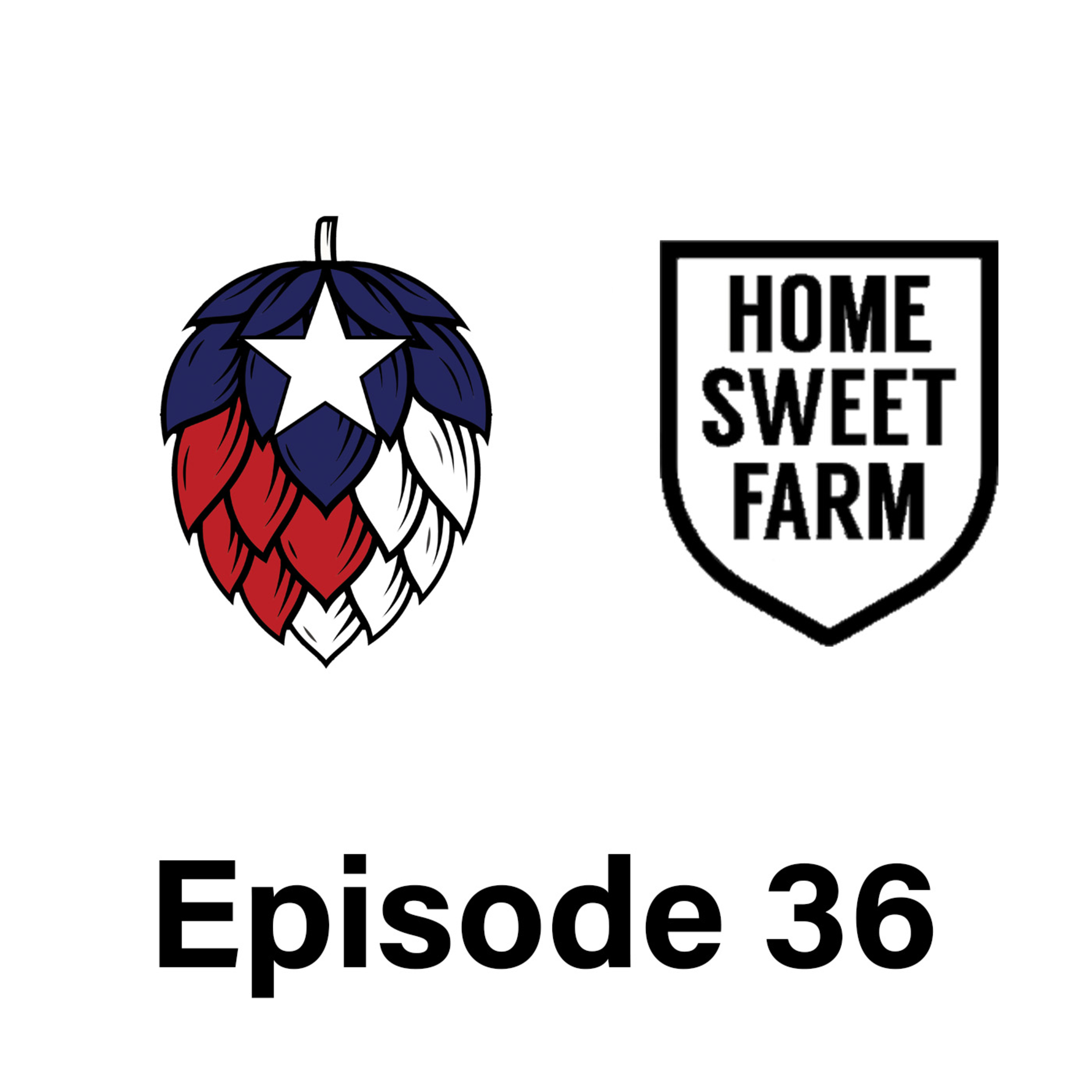 Texas Beer Experience